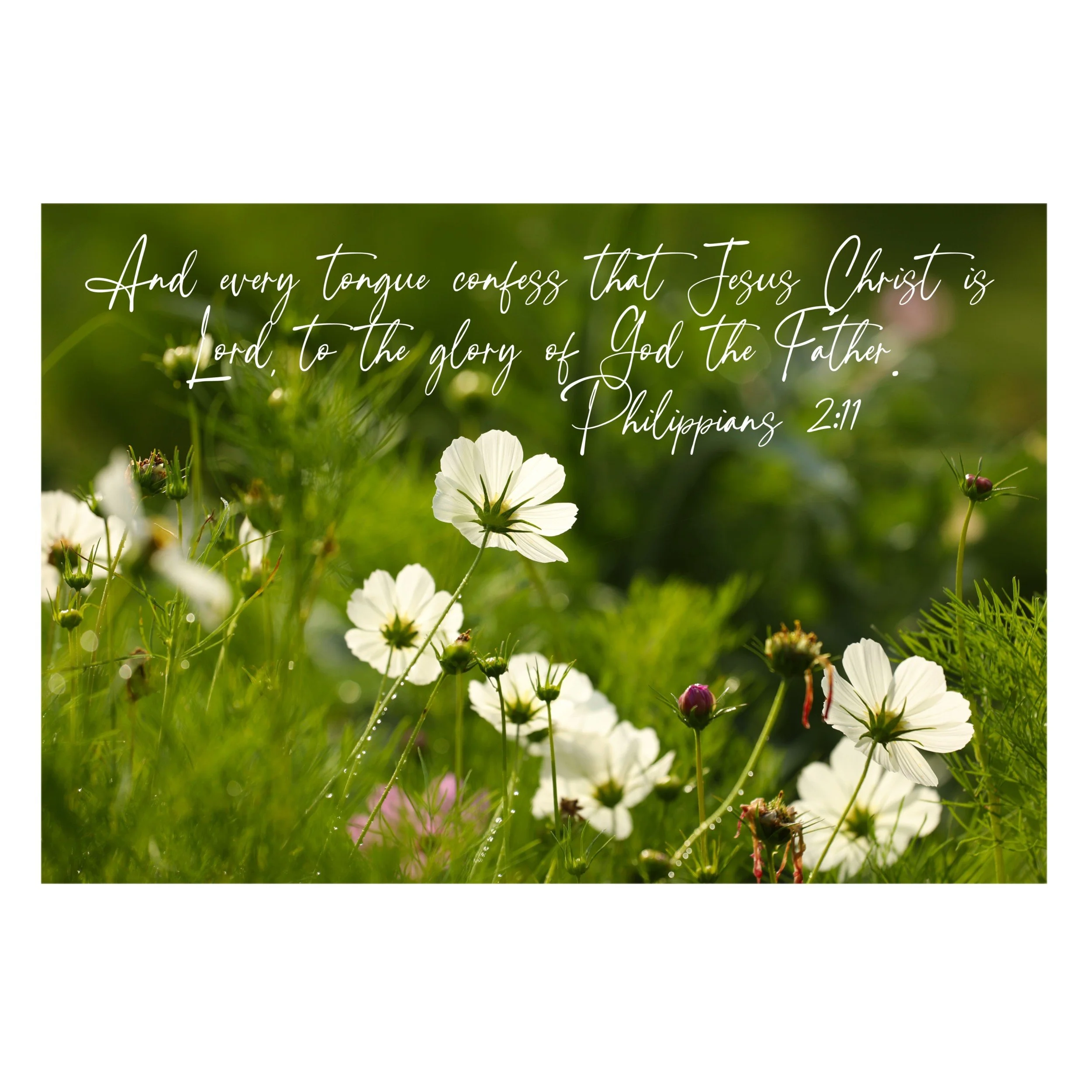 Philippians 2:11 Every Tongue Confess Print