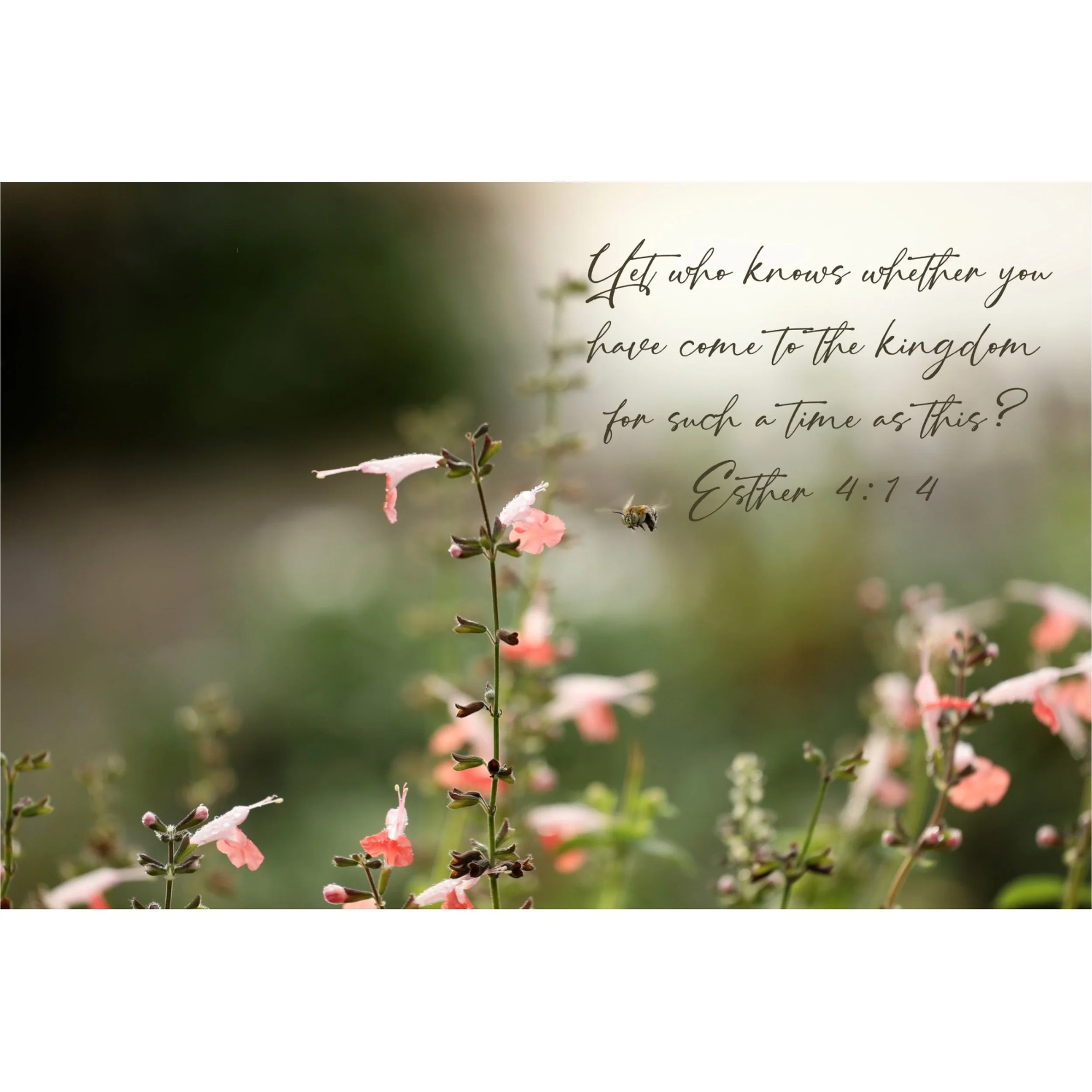 Esther 4:14 Such A Time As This Matted Print