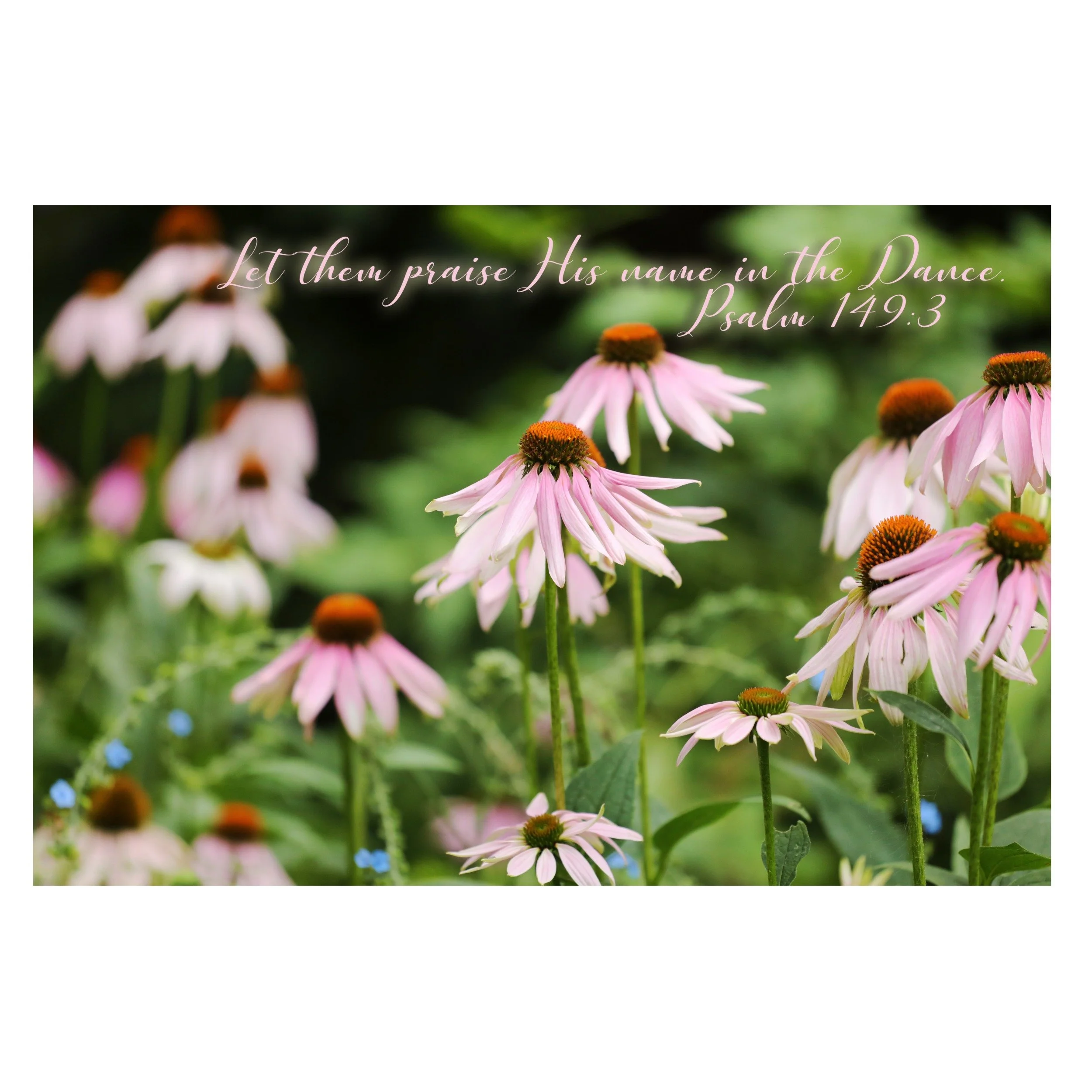 Psalm 149:3 Praise His Name In The Dance Print