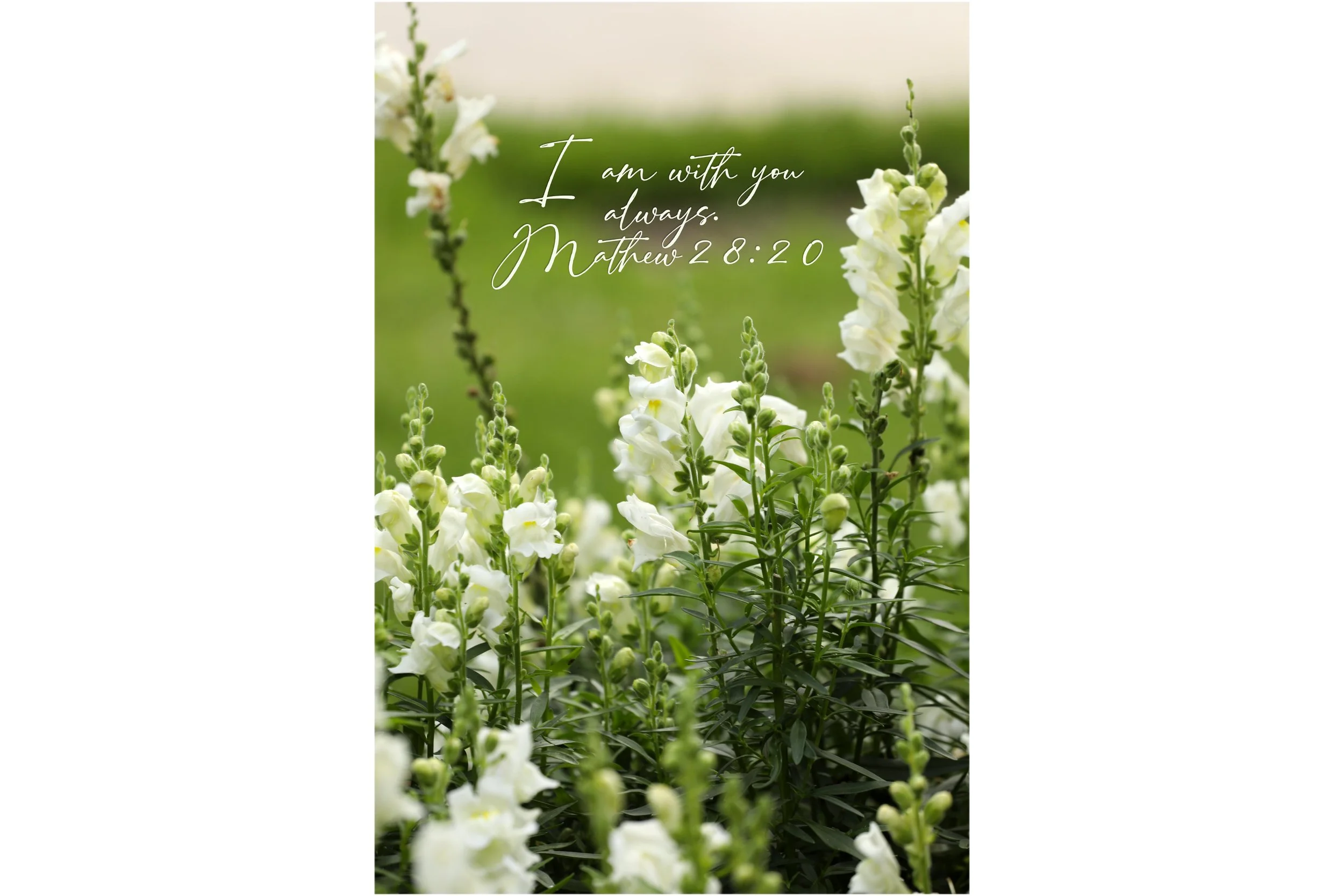 Mathew 28:20 With You Always Print