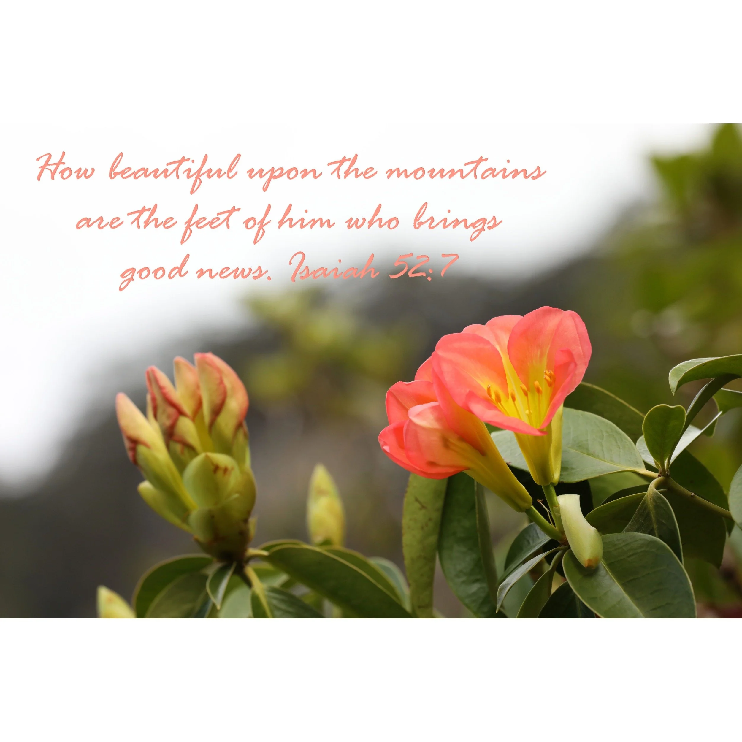Isaiah 52:7 Brings Good News Matted Print