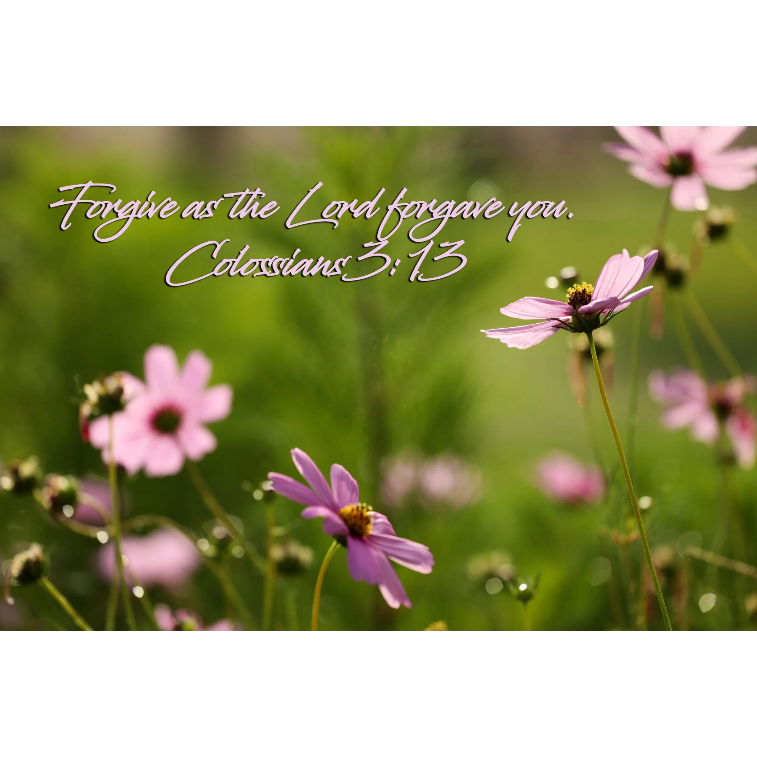 Colossians 3:13 Forgive Matted Print