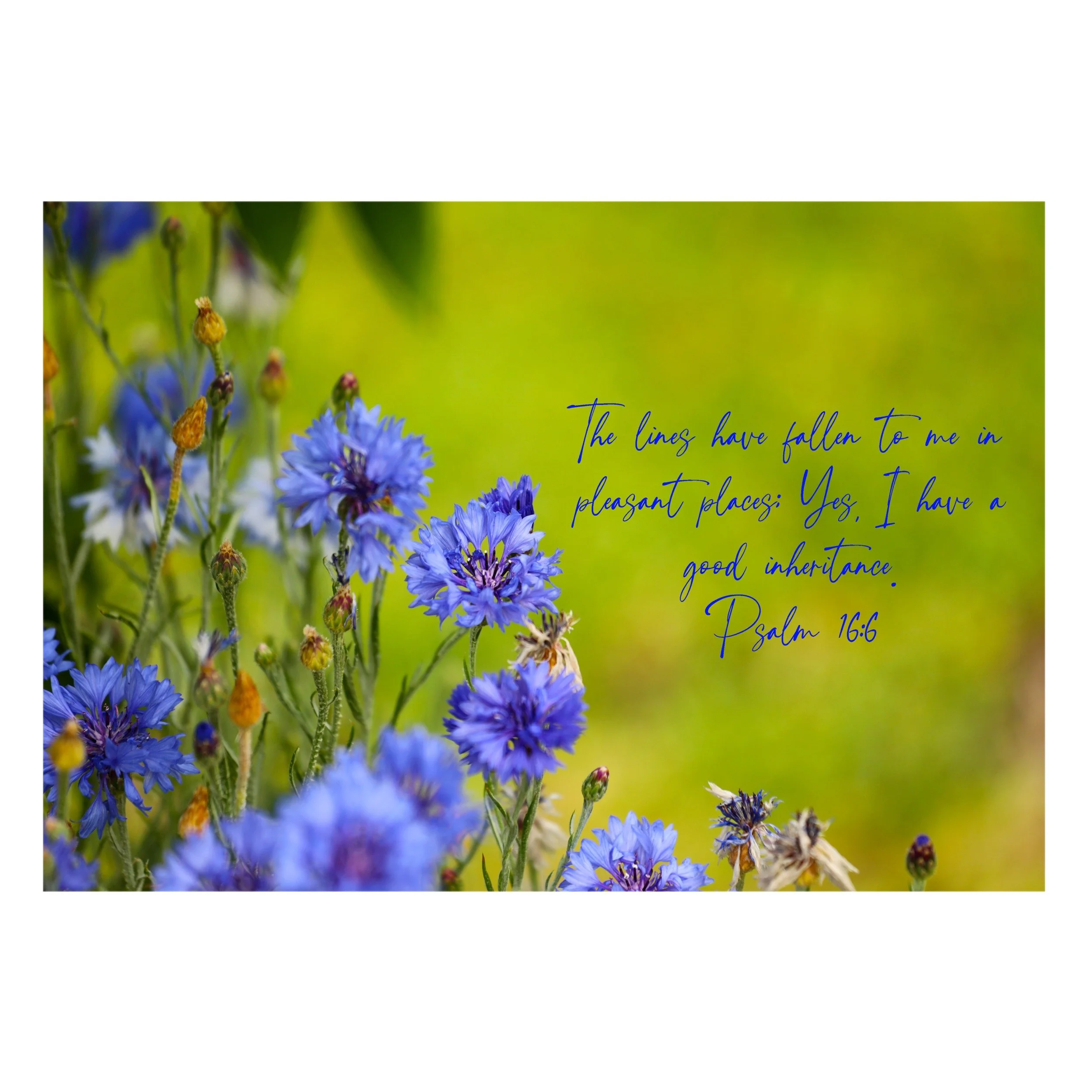 Psalm 16:6 Good Inheritance Print