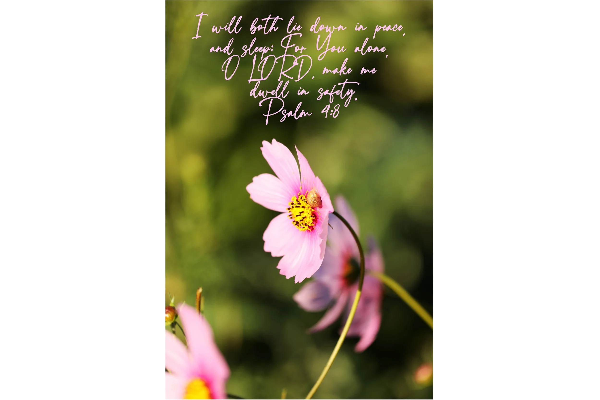 Psalm 4:8 Make Me Dwell In Safety Print