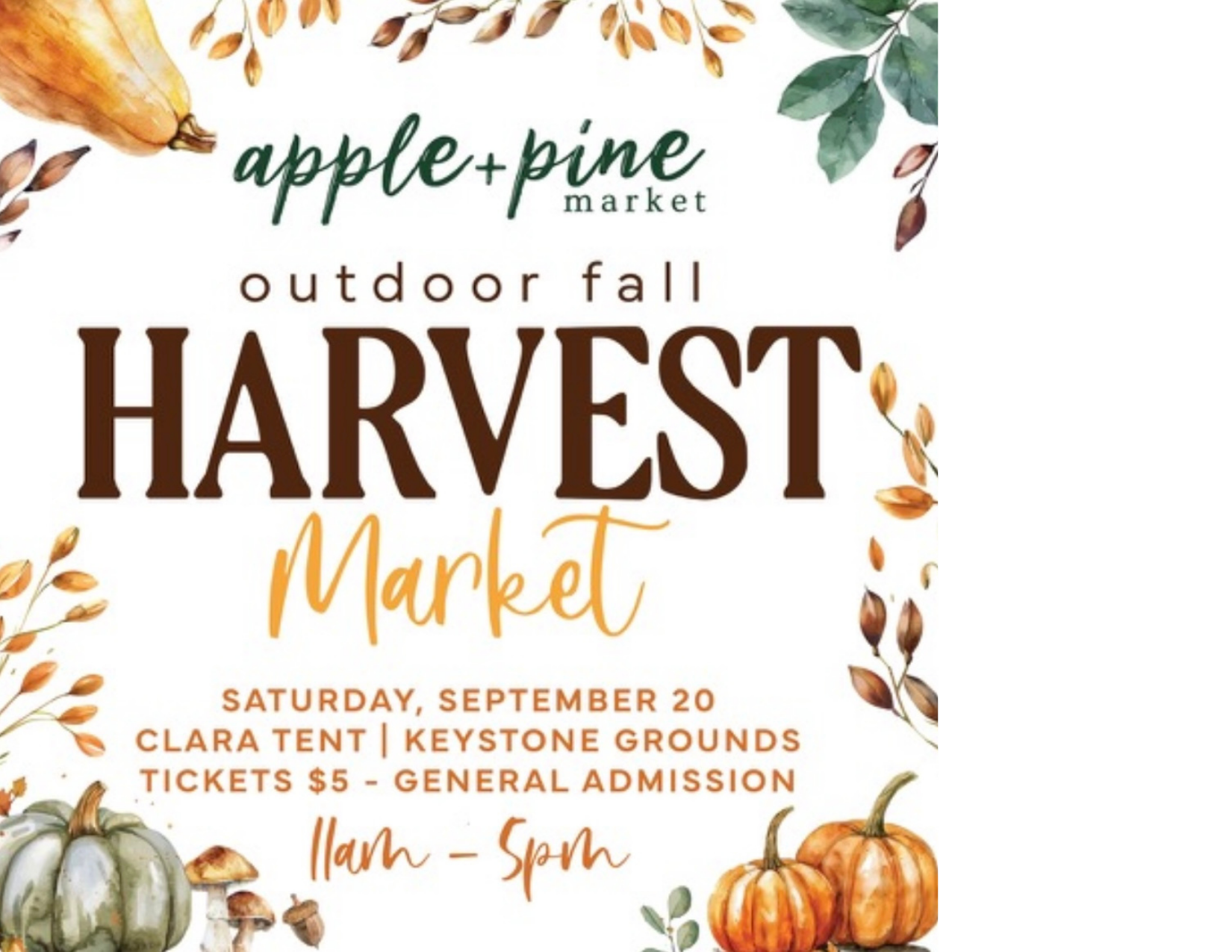 Apple + Pine                    Harvest Market