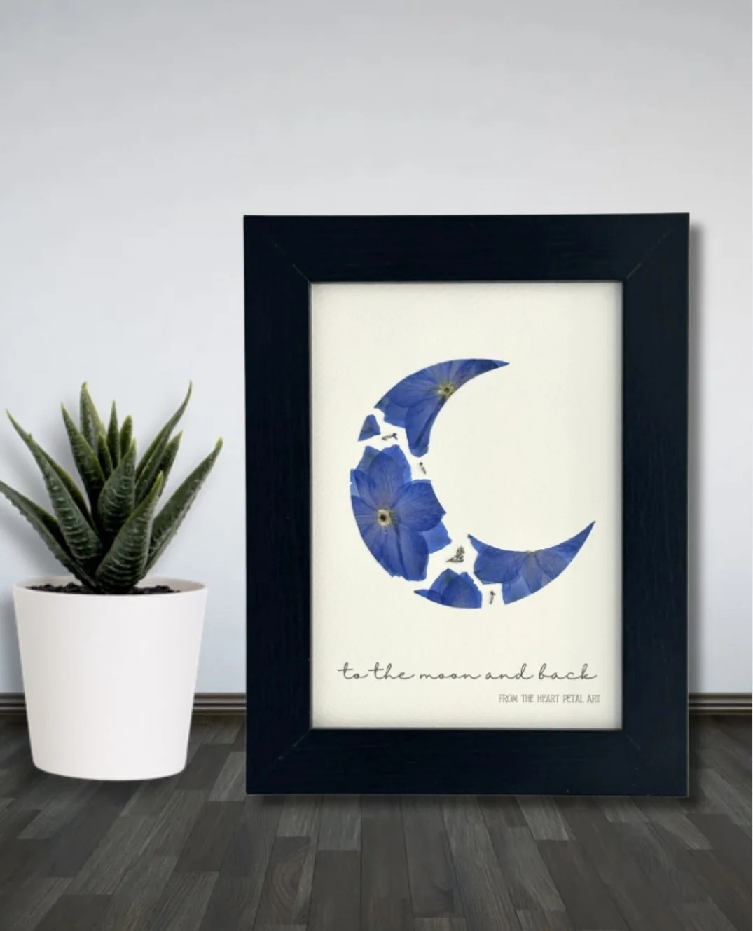 5x7 Delphinium Moon (Blue) - Ready to Ship