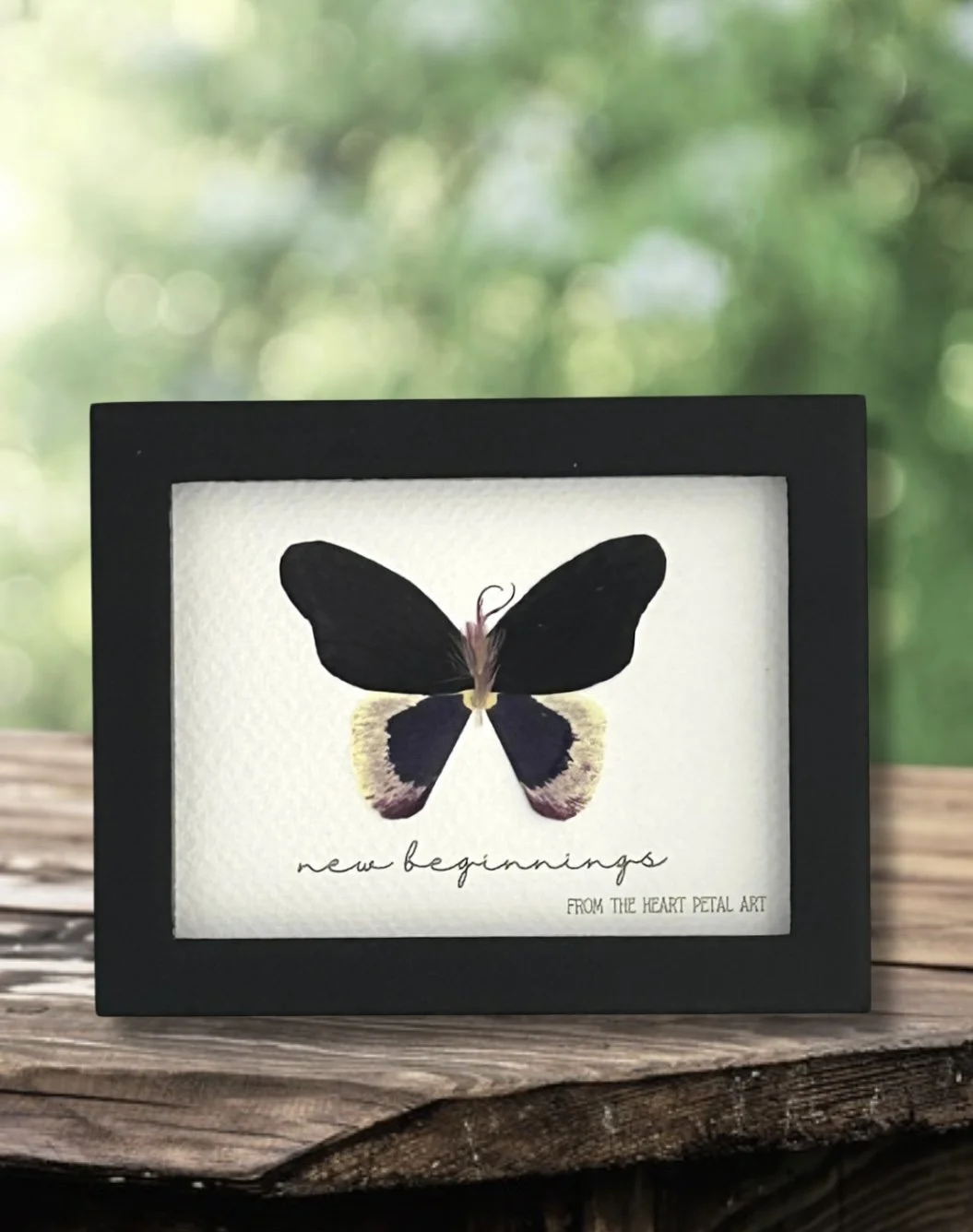 3x4 Butterfly - Ready to Ship