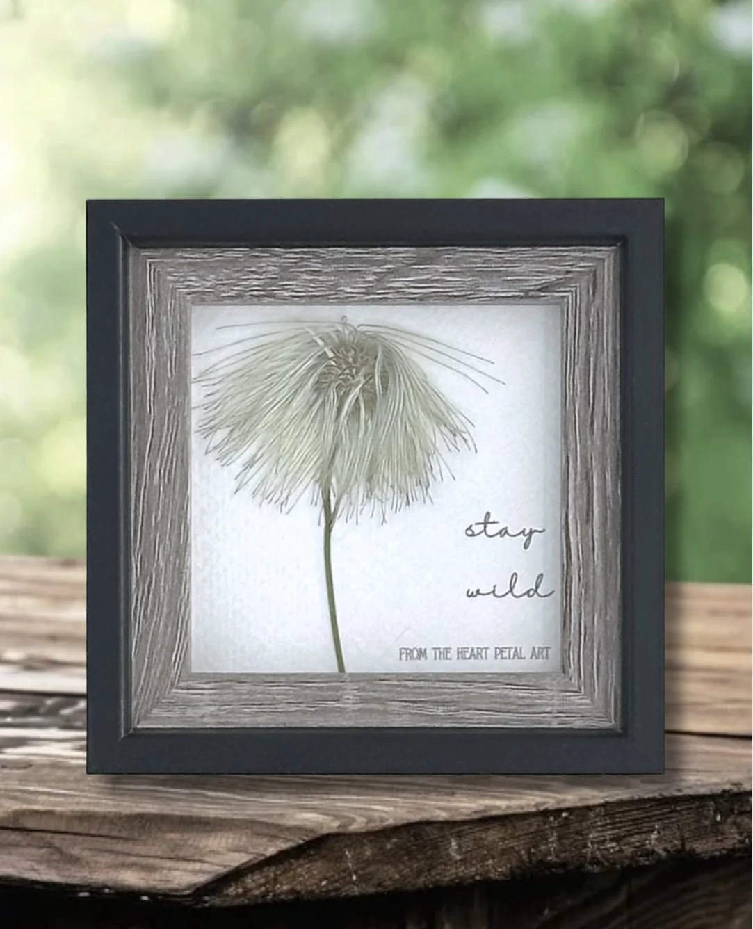 3x3 Clematis - Ready to Ship