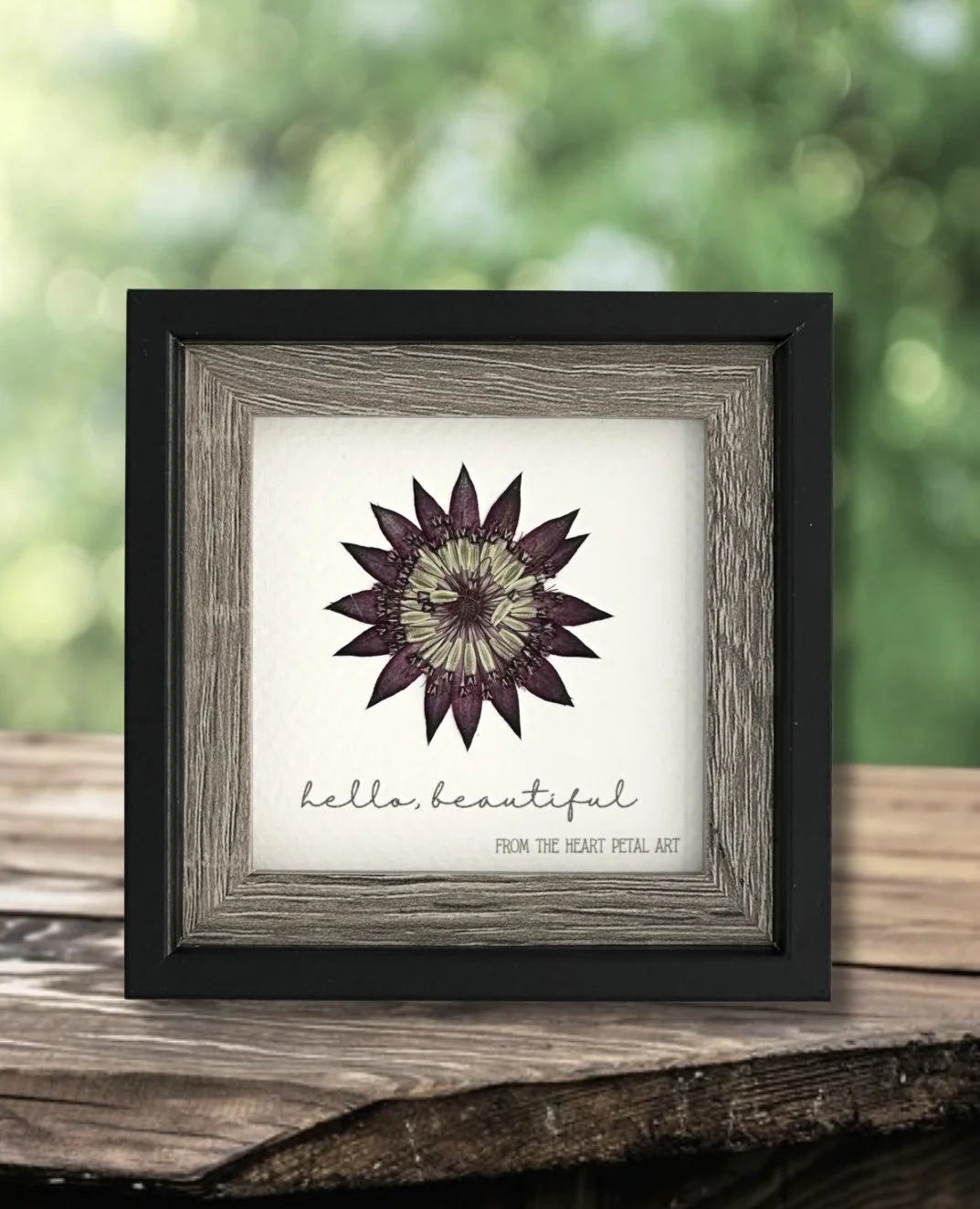 3x3 Pink Astrantia - Ready to Ship