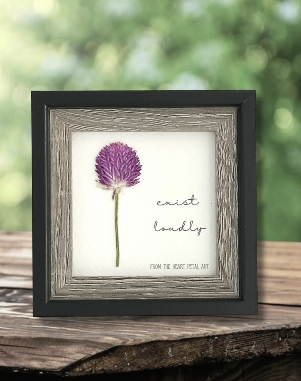 3x3 Gomphrena - Ready to Ship