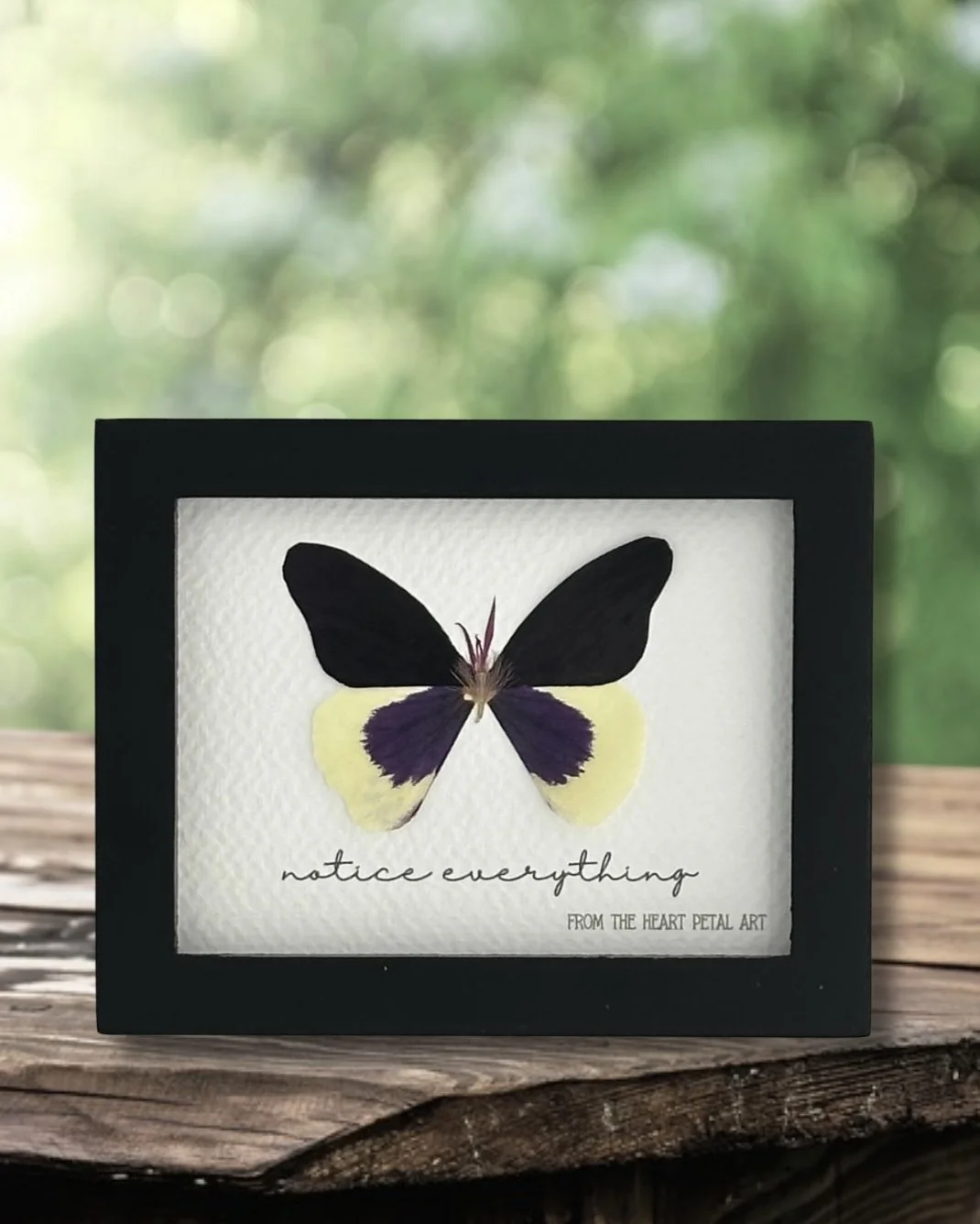 3x4 Butterfly - Ready to Ship