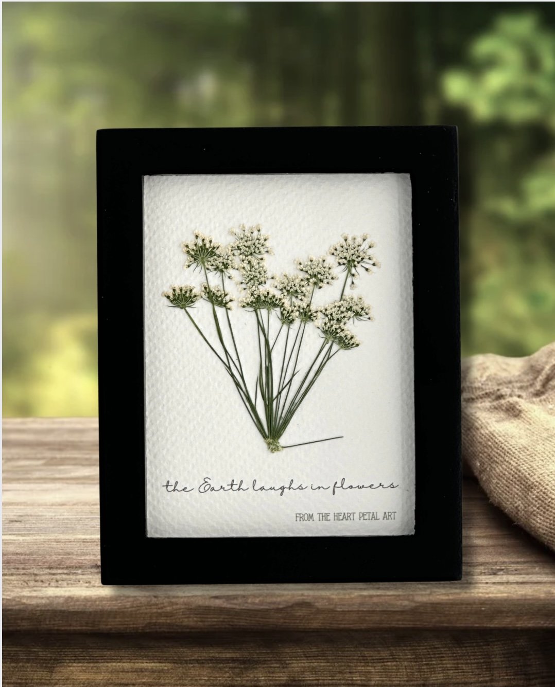 3x4 Queen Anne's Lace - Ready to Ship