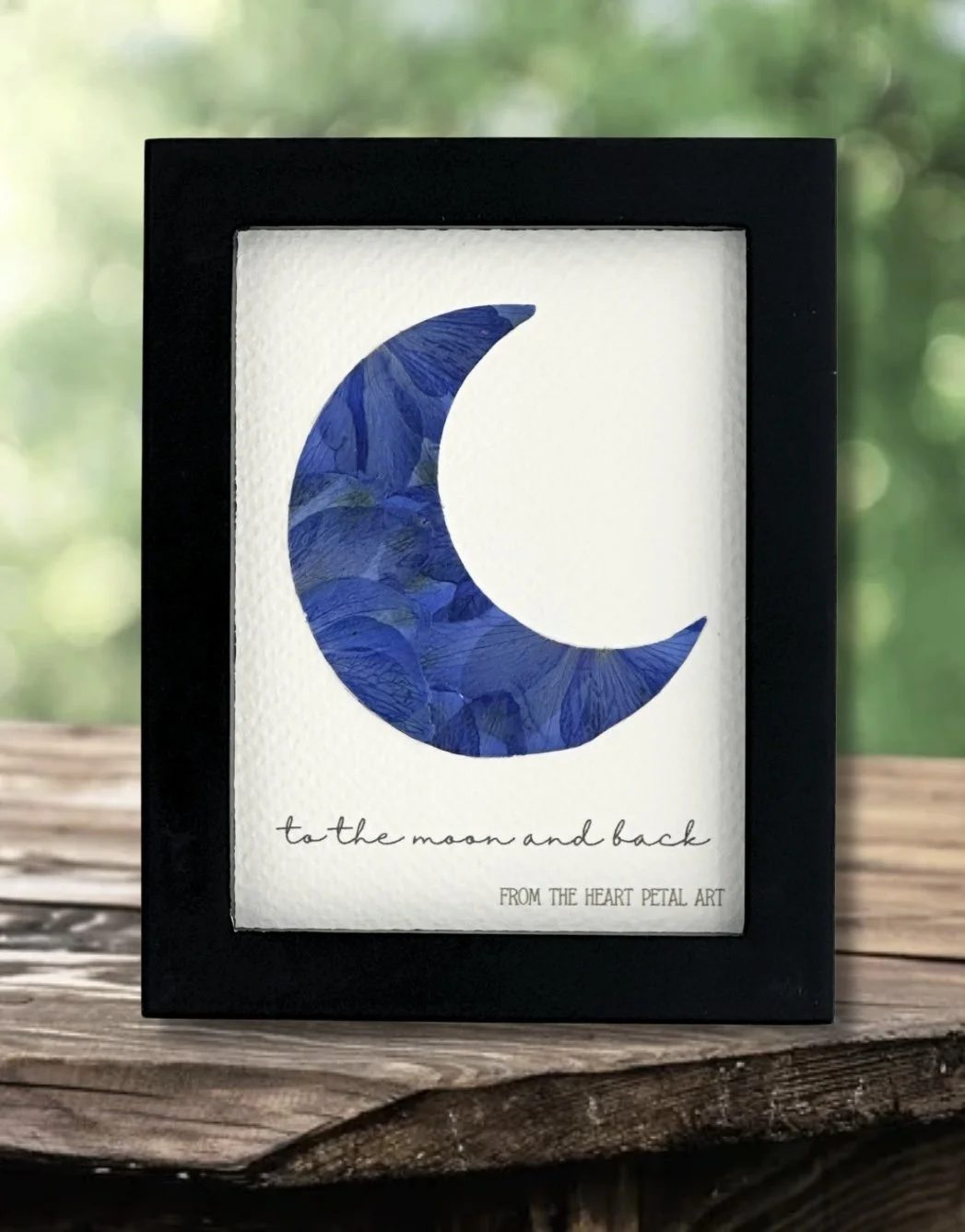 3x4 Delphinium Moon - Made to Order