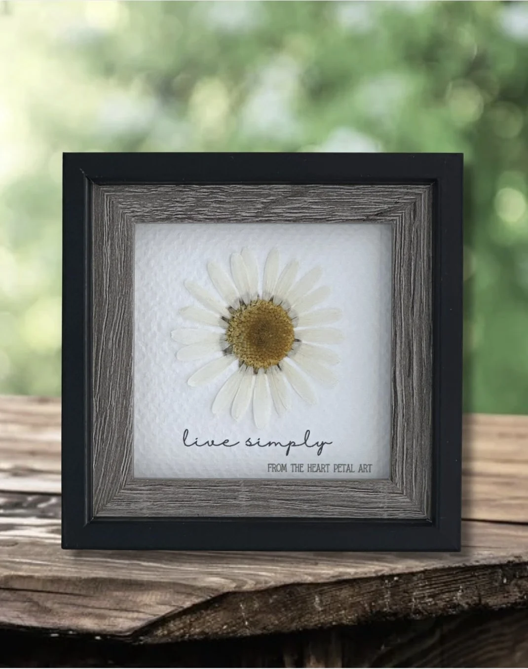 3x3 Daisy - Ready to Ship