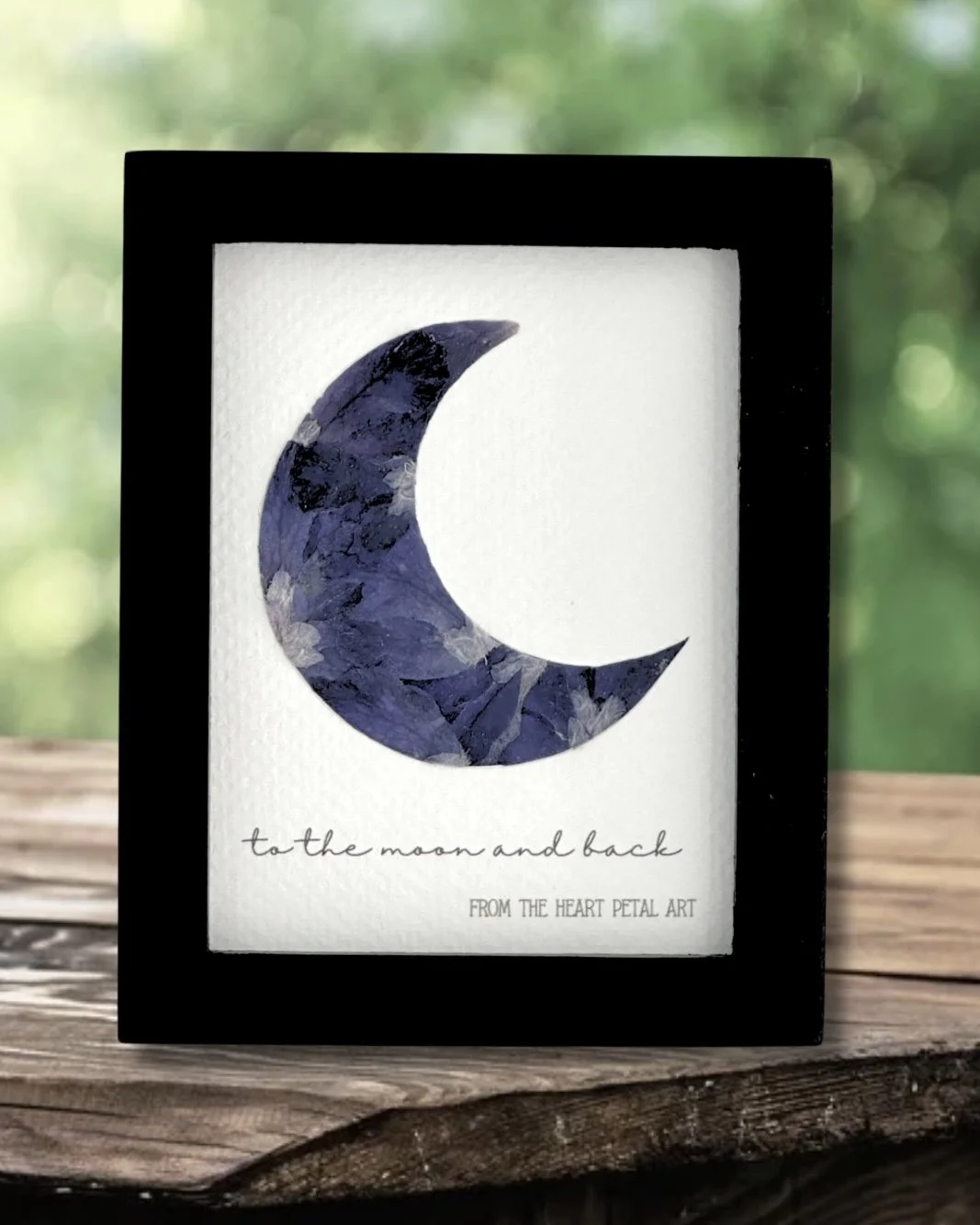 3x4 Scabiosa Moon - Made to Order