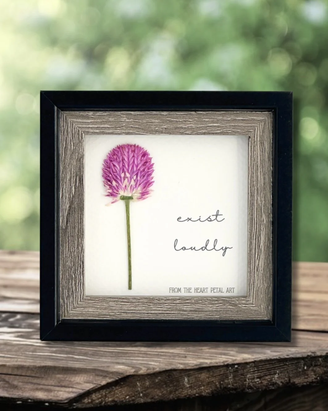 3x3 Gomphrena - Ready to Ship