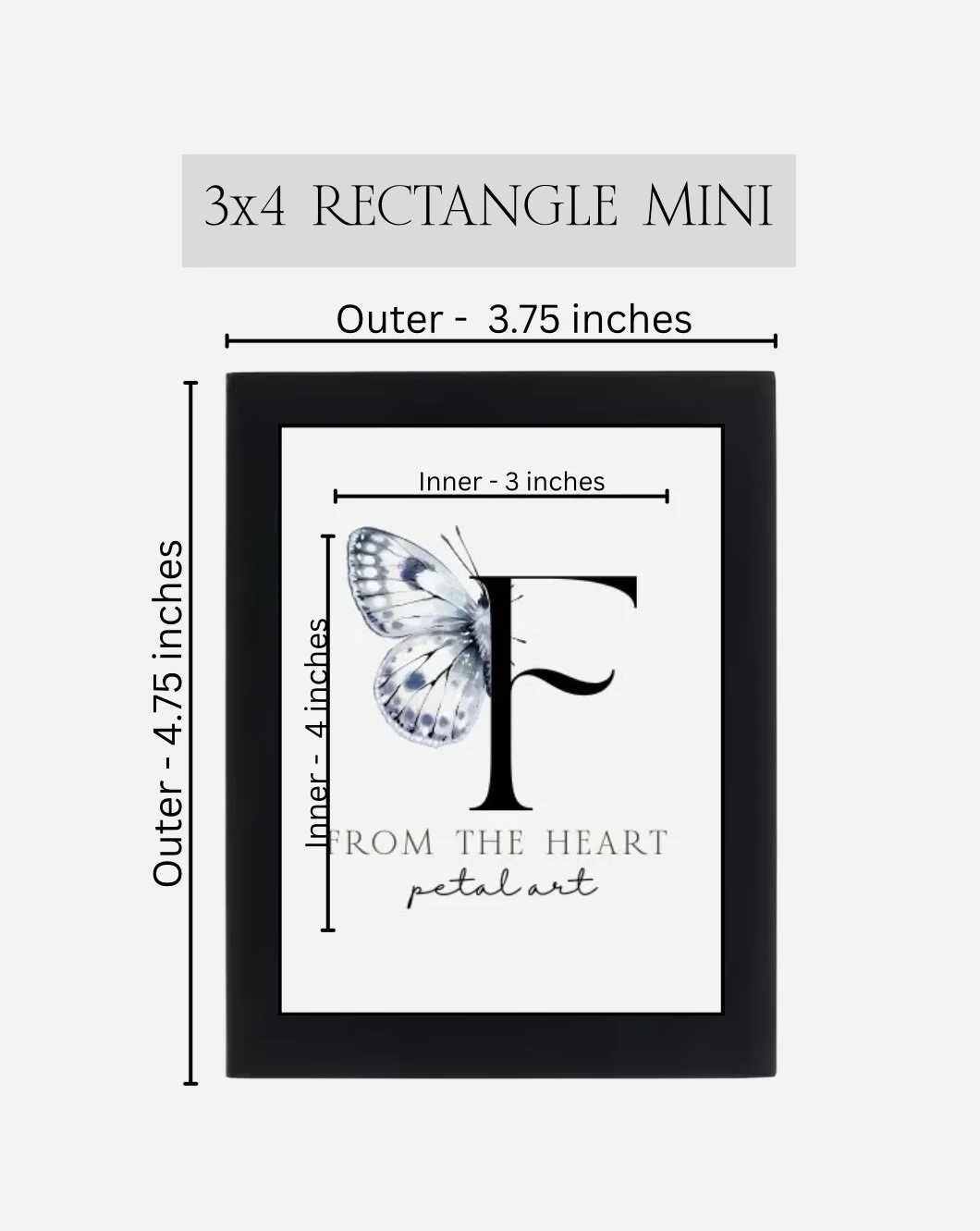 IMG_6534.jpg (Copy) (Copy)