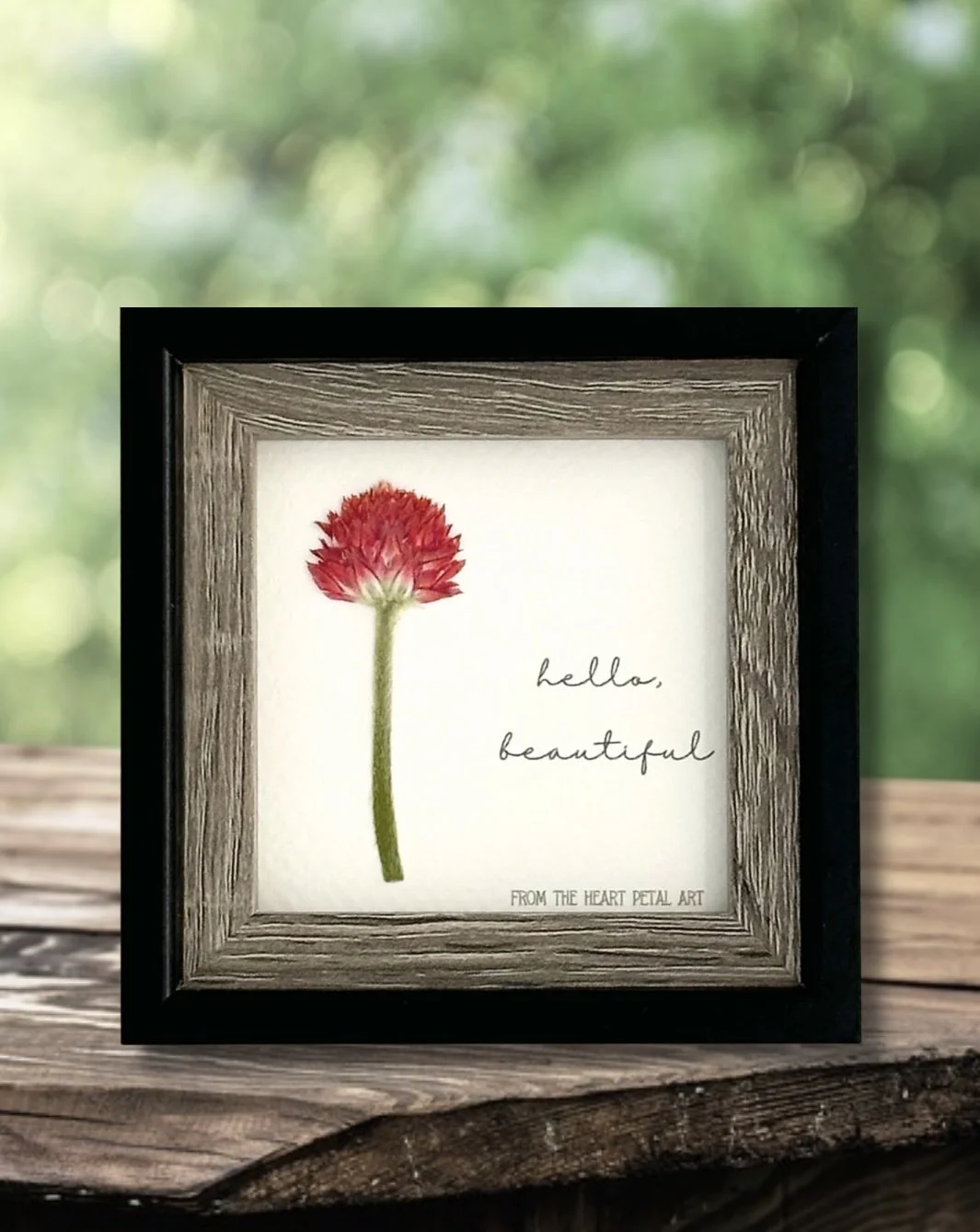 3x3 Gomphrena - Ready to Ship