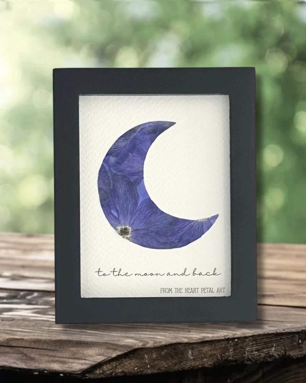 3x4 Delphinium Moon (Purple) - Ready to Ship