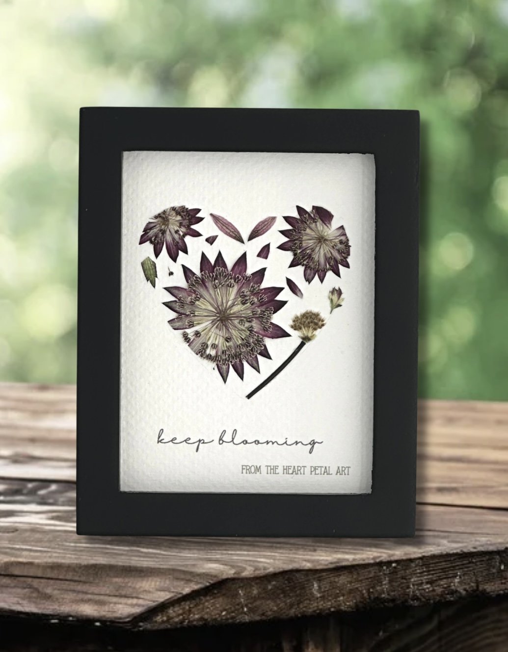 3x4 Astrantia Heart - Ready to Ship