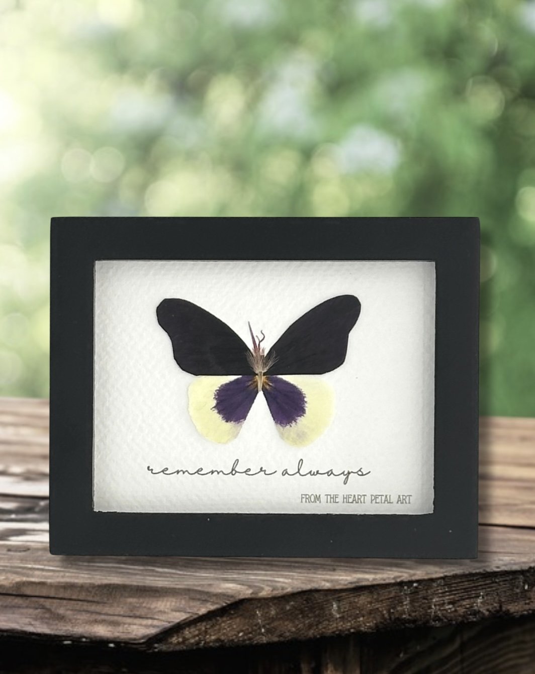 3x4 Butterfly - Ready to Ship