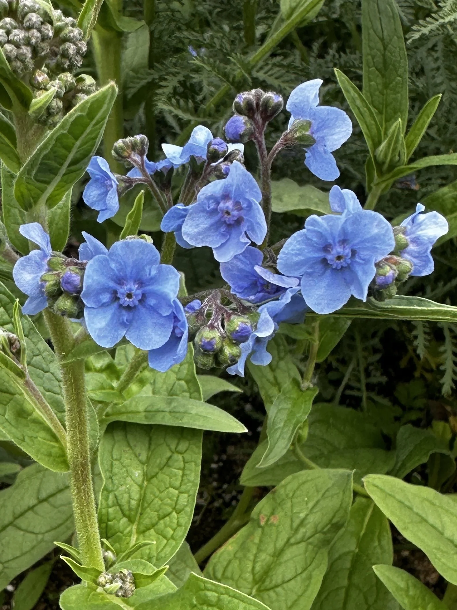 IMG_4184 2.jpg (Copy) (Copy) (Copy)