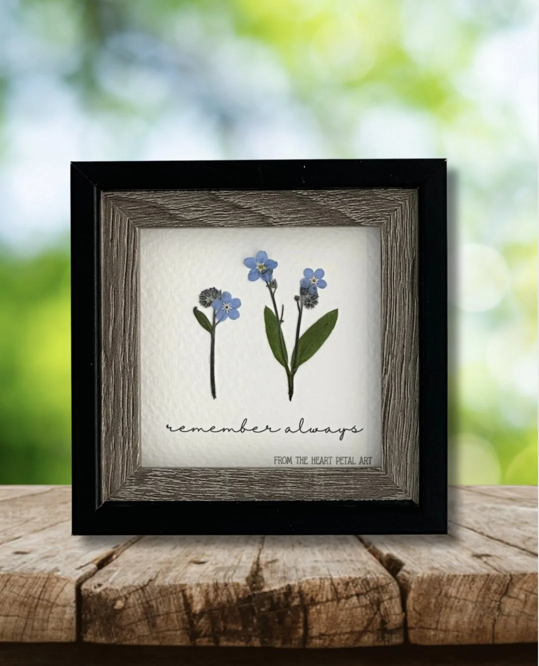 3x3 Forget-Me-Not - Ready to Ship