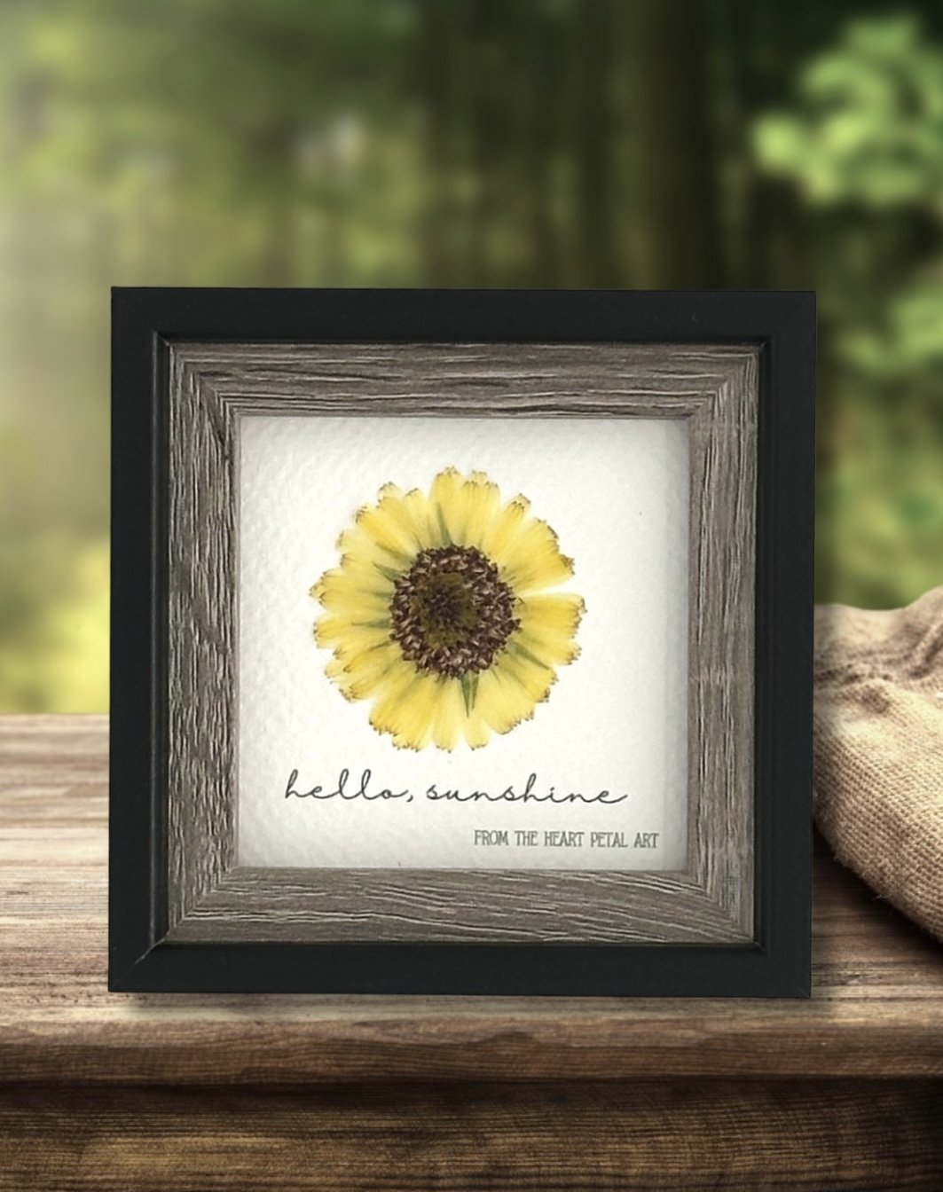 3x3 Calendula - Ready to Ship