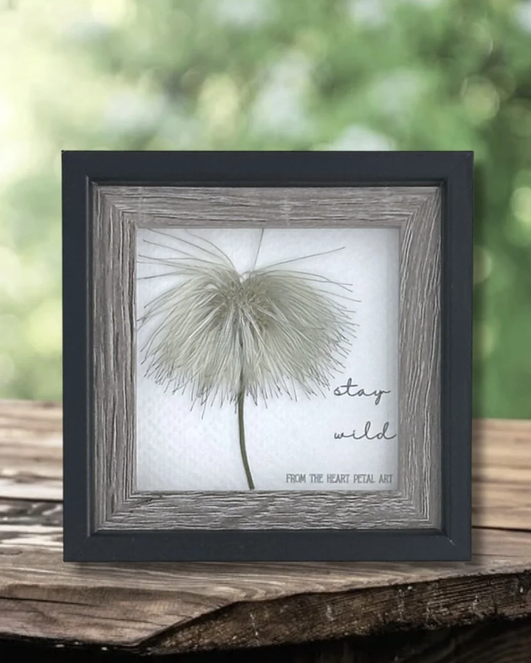 3x3 Clematis - Ready to Ship