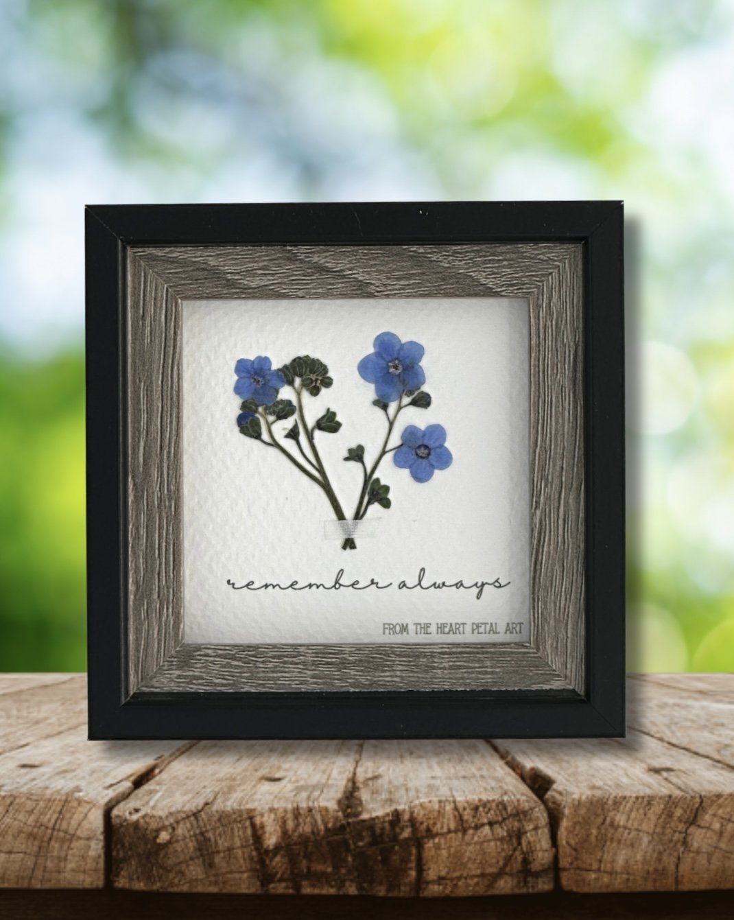 3x3 Forget-Me-Not - Ready to Ship