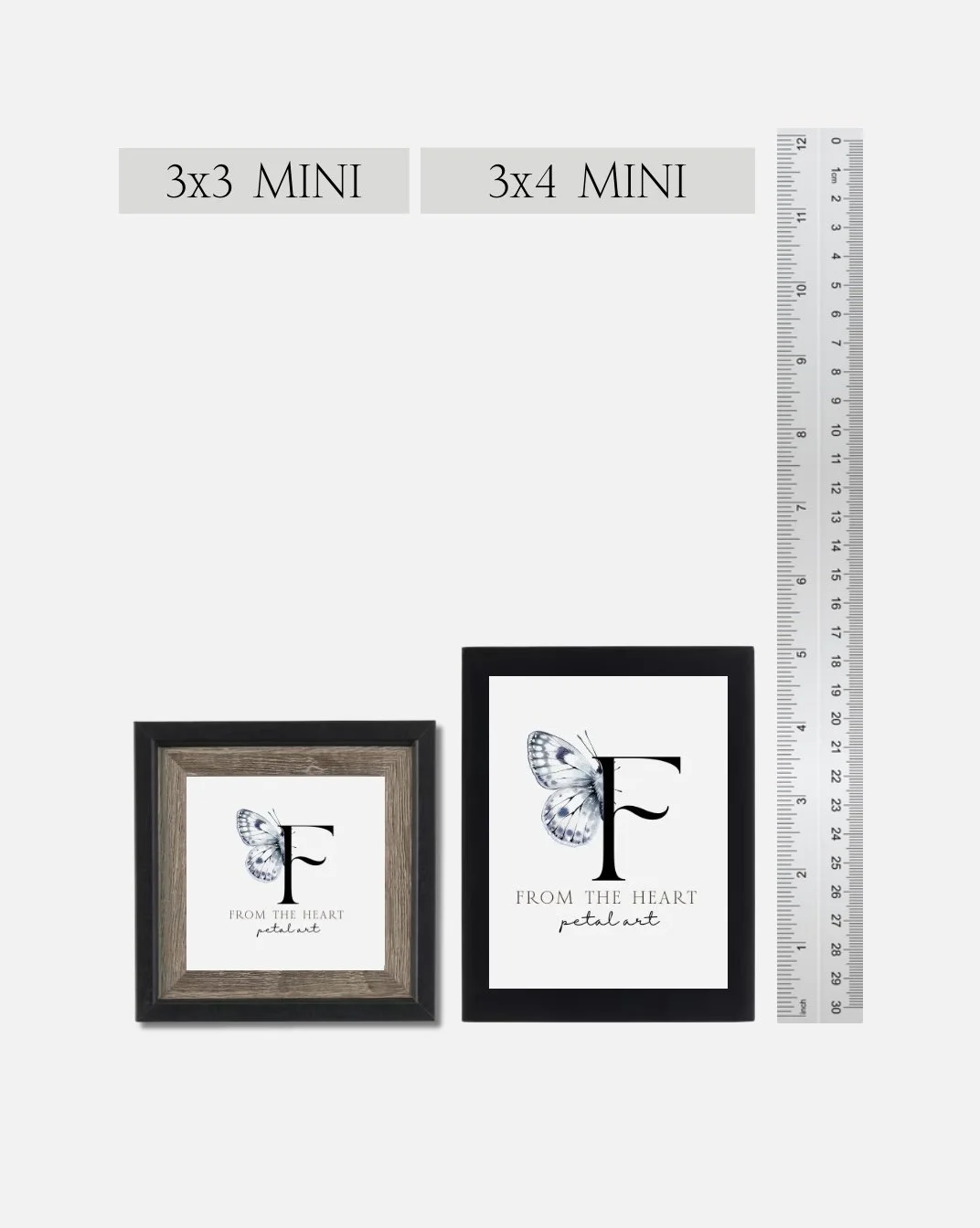 IMG_6535.jpg (Copy) (Copy)