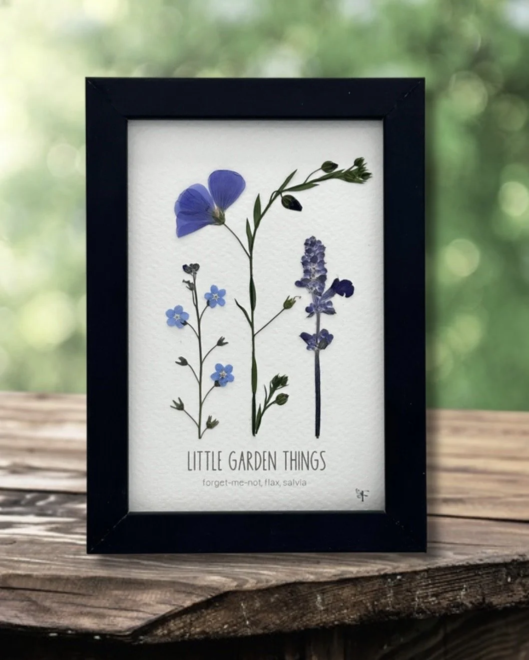 4x6 Little Garden Things - Ready to Ship