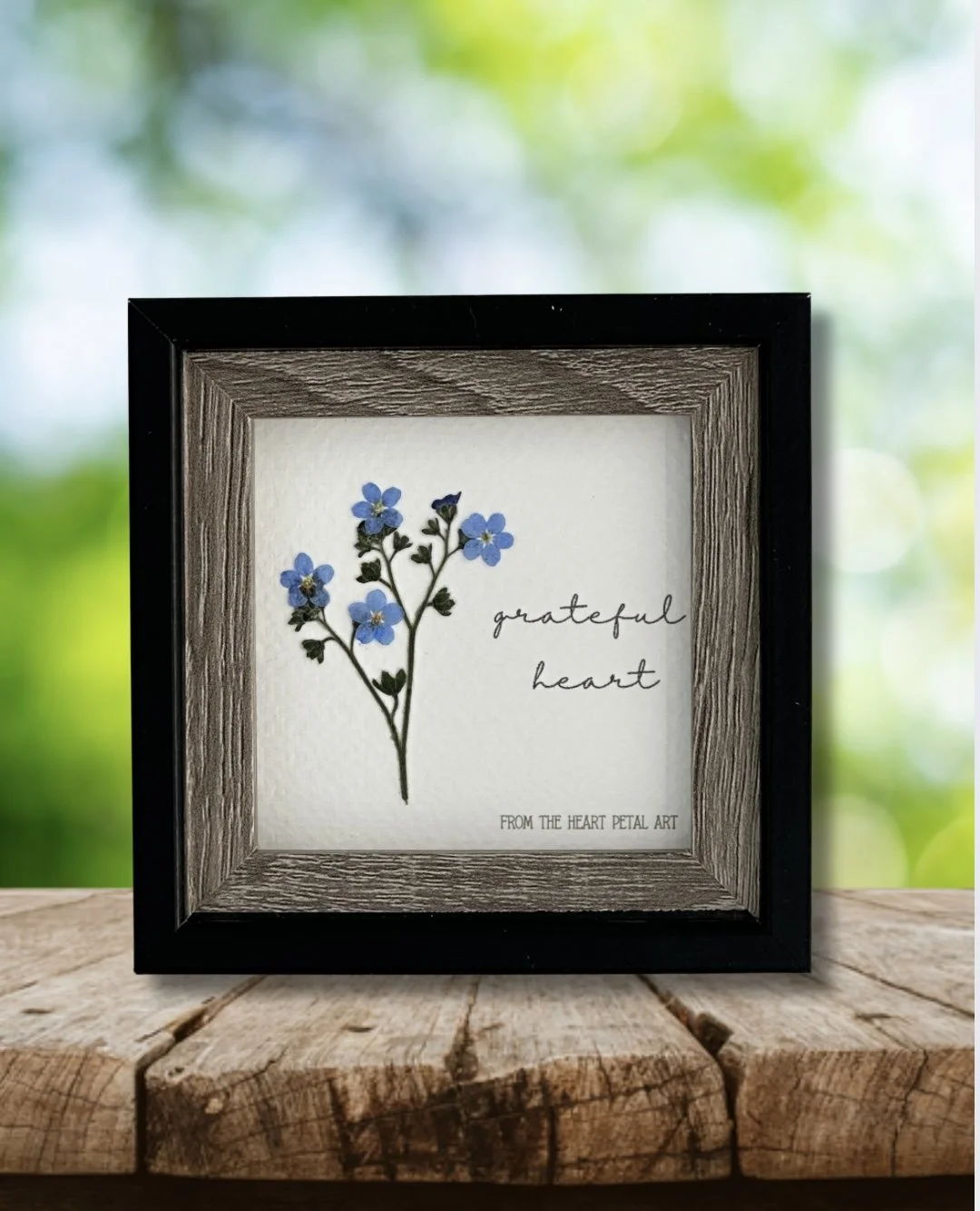 3x3 Forget-Me-Not - Ready to Ship