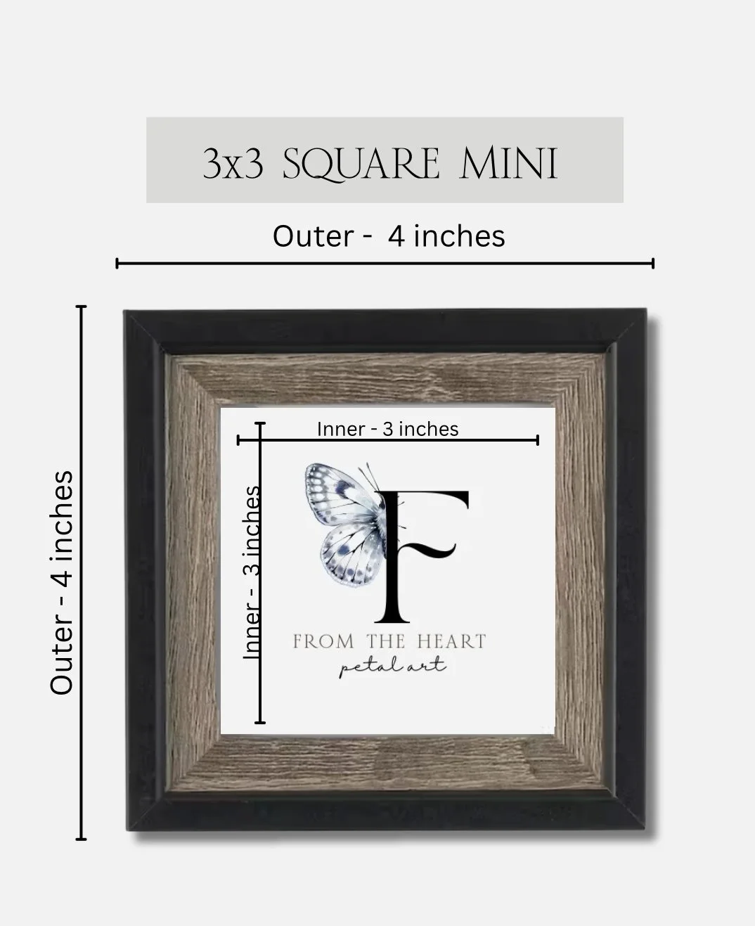 IMG_6533.jpg (Copy) (Copy)