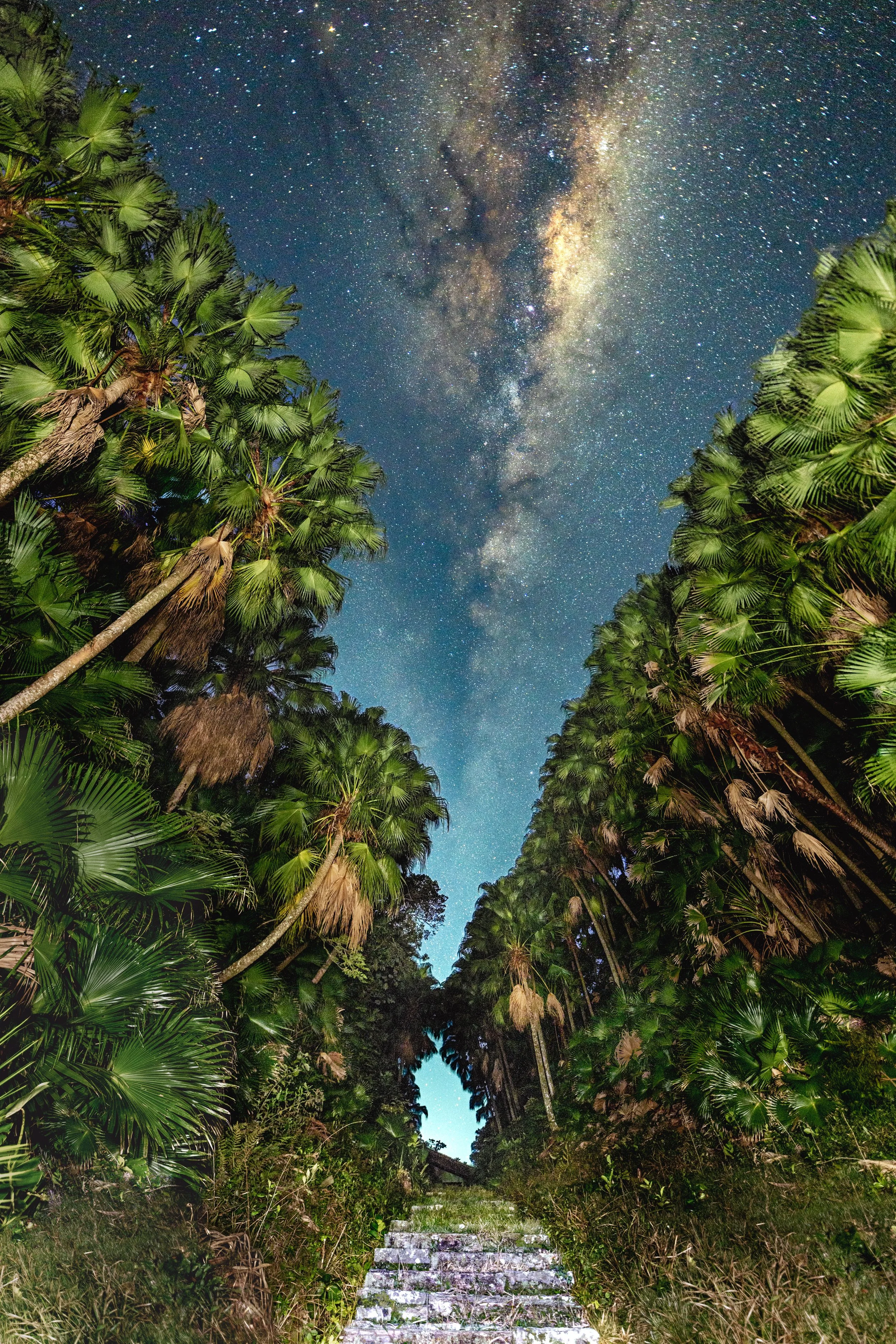 via_lactea_gipoia_52_0040-2.jpg