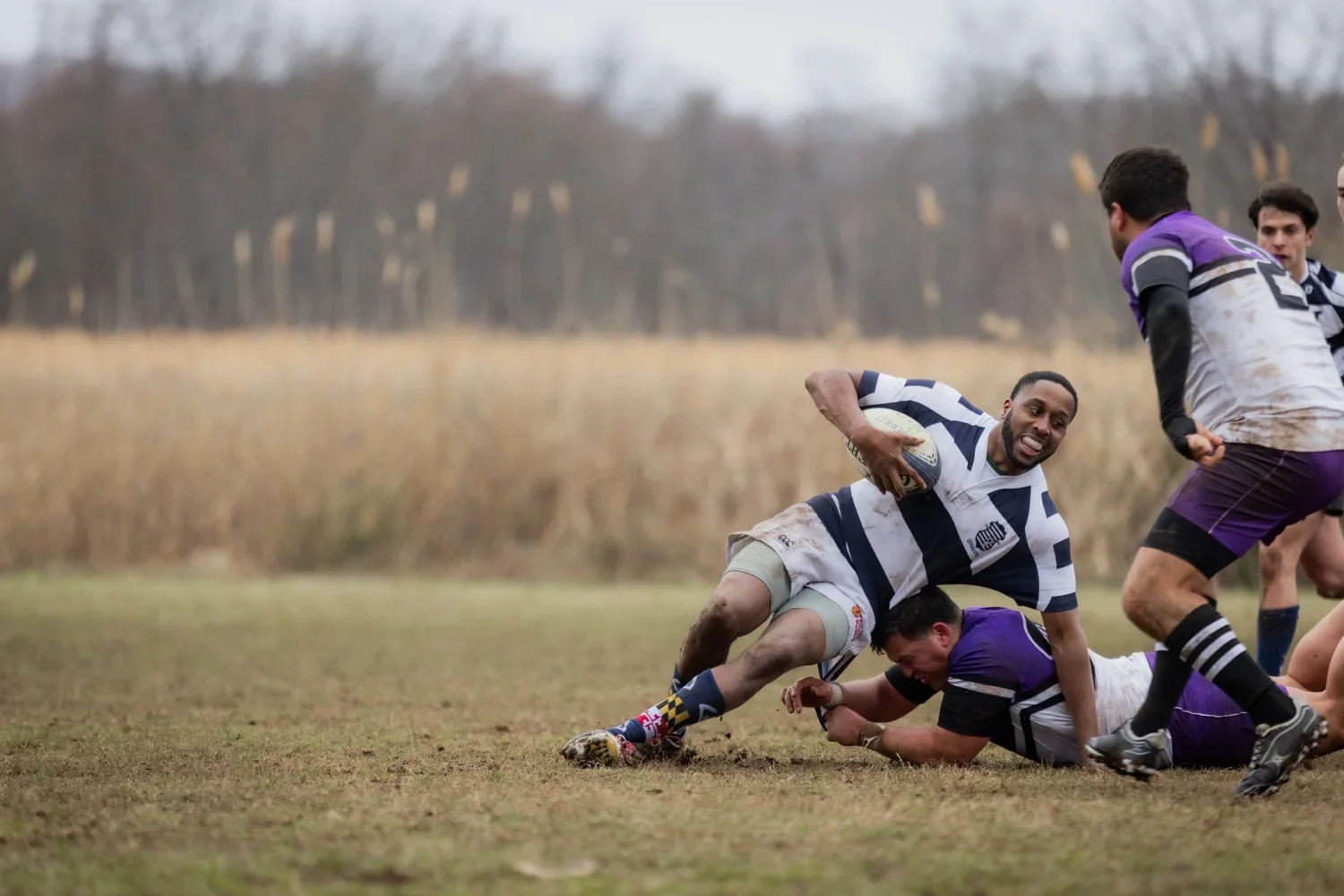 Rugby players engaged in a match on a grassy field, with some players tackling others and one player holding the rugby ball.