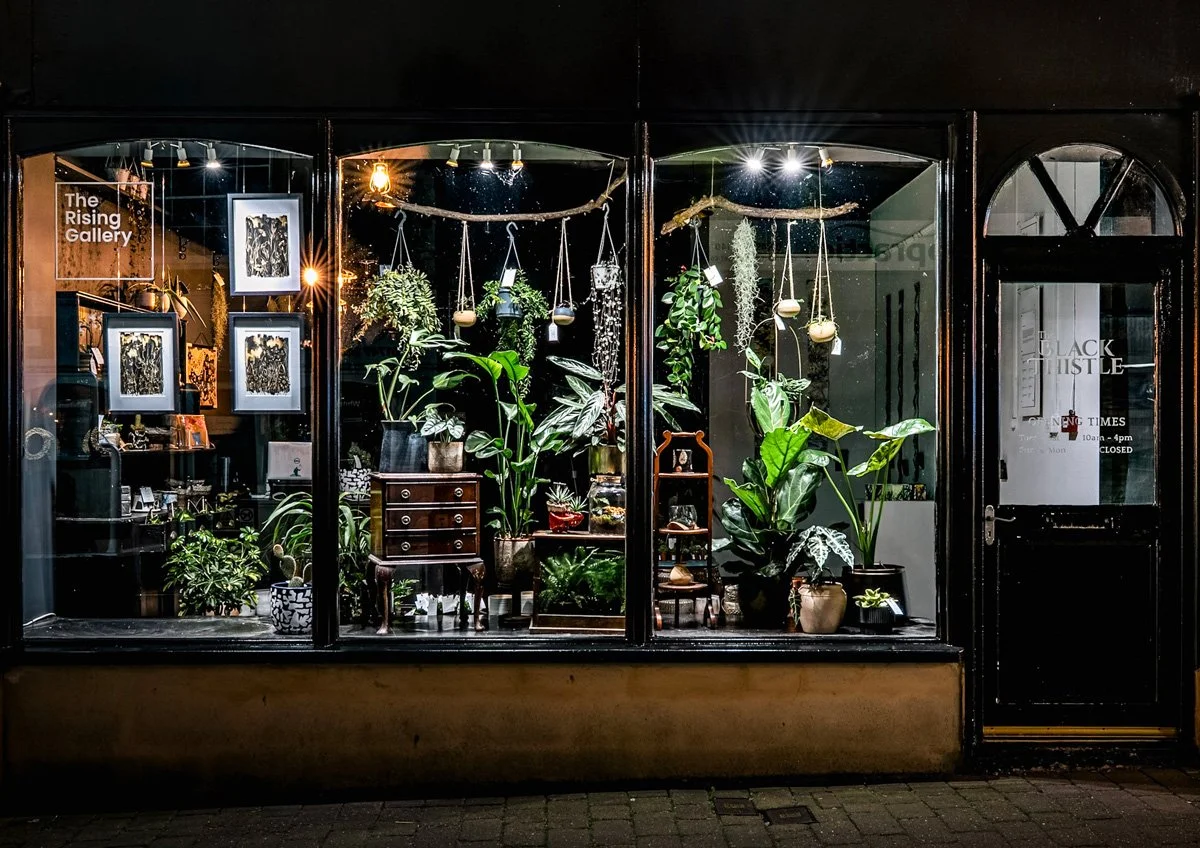 A storefront window display of a plant shop or gallery at night, featuring various potted plants, framed artwork, and hanging decorations inside.