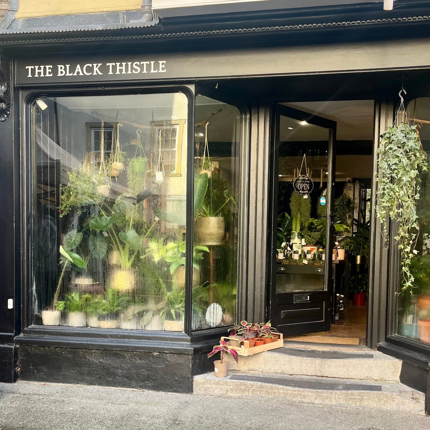 Shepton Sunday Market is back, and we&rsquo;ll be open 10&ndash;3pm!

Come wander the cobbles, grab a coffee, and step into The Black Thistle for a little calm amongst the bustle.

The shop&rsquo;s feeling deliciously witchy this weekend &mdash; dark