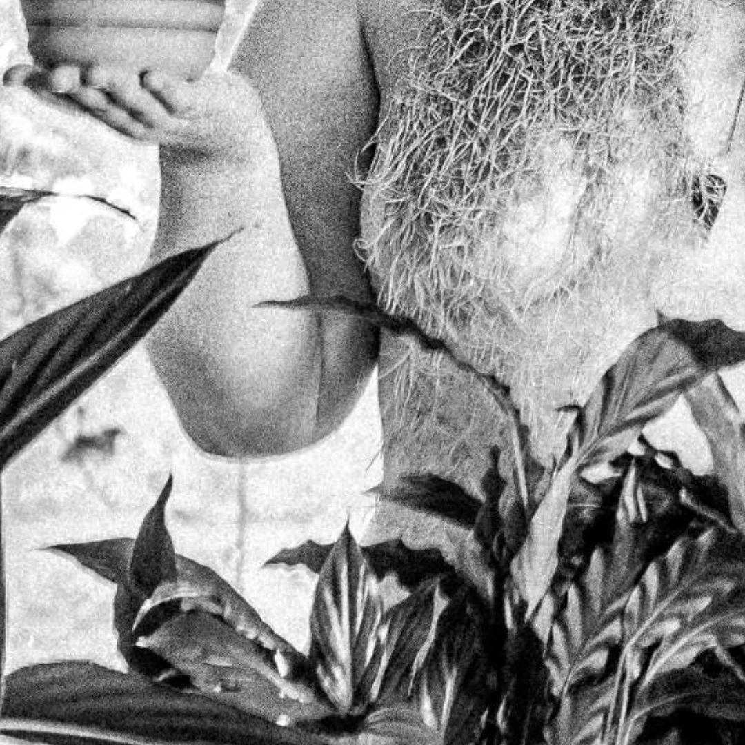 Shepton&rsquo;s shopkeepers have been shedding their leaves this winter&hellip; and yes, I joined in 👀🌿 
Here&rsquo;s a sneak peek - just enough to prove I rose to the occasion, not enough to get me banned from Instagram! 
All in aid of the Shepton