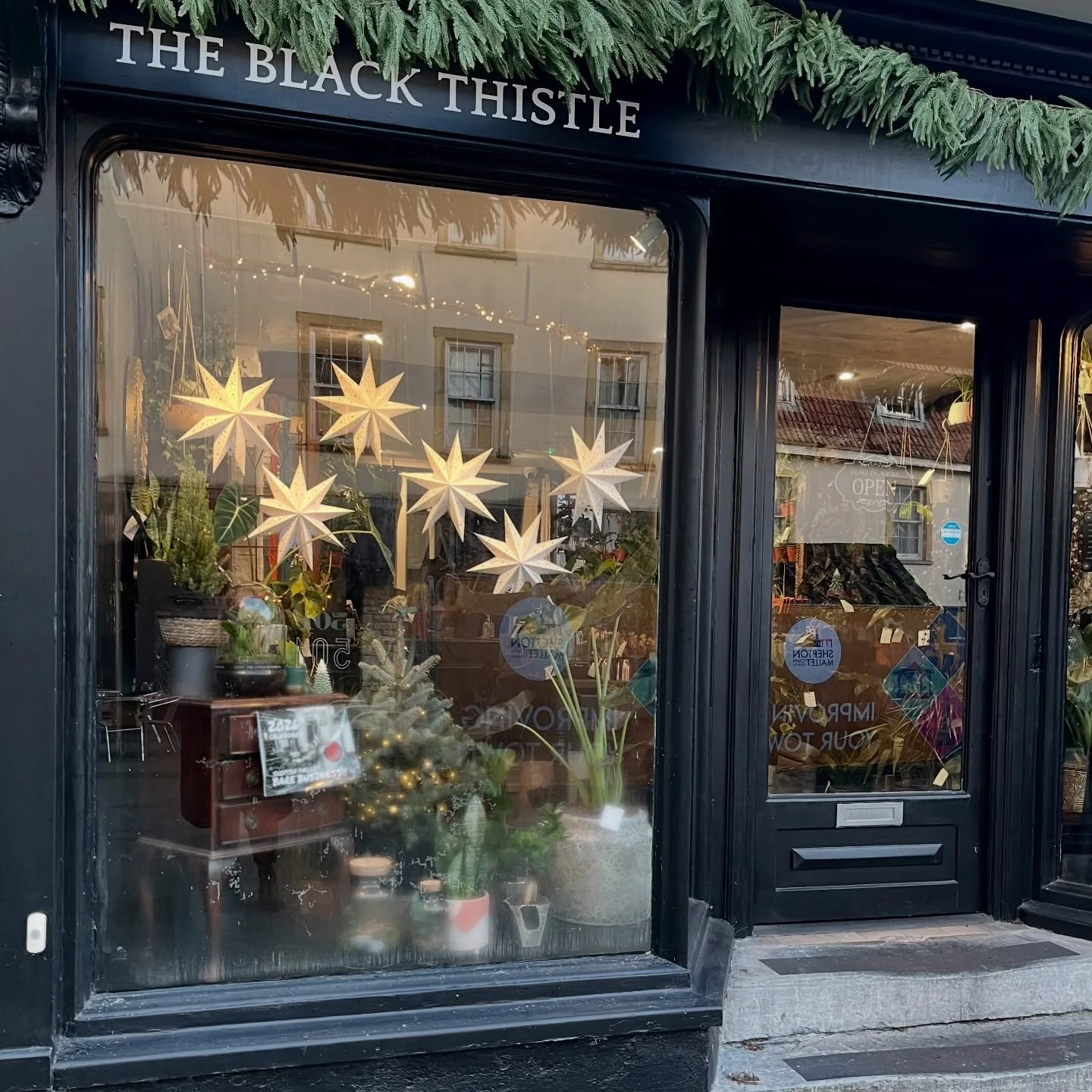 Shepton&rsquo;s Christmas Market &amp; Light Switch-On is here! 🎄✨
We&rsquo;ll be open 11&ndash;5.30 today, and the shop is looking beautifully wintery &mdash; new plants, pots, and a few seasonal decorations sprinkled in for good measure. 🕯🌿

The