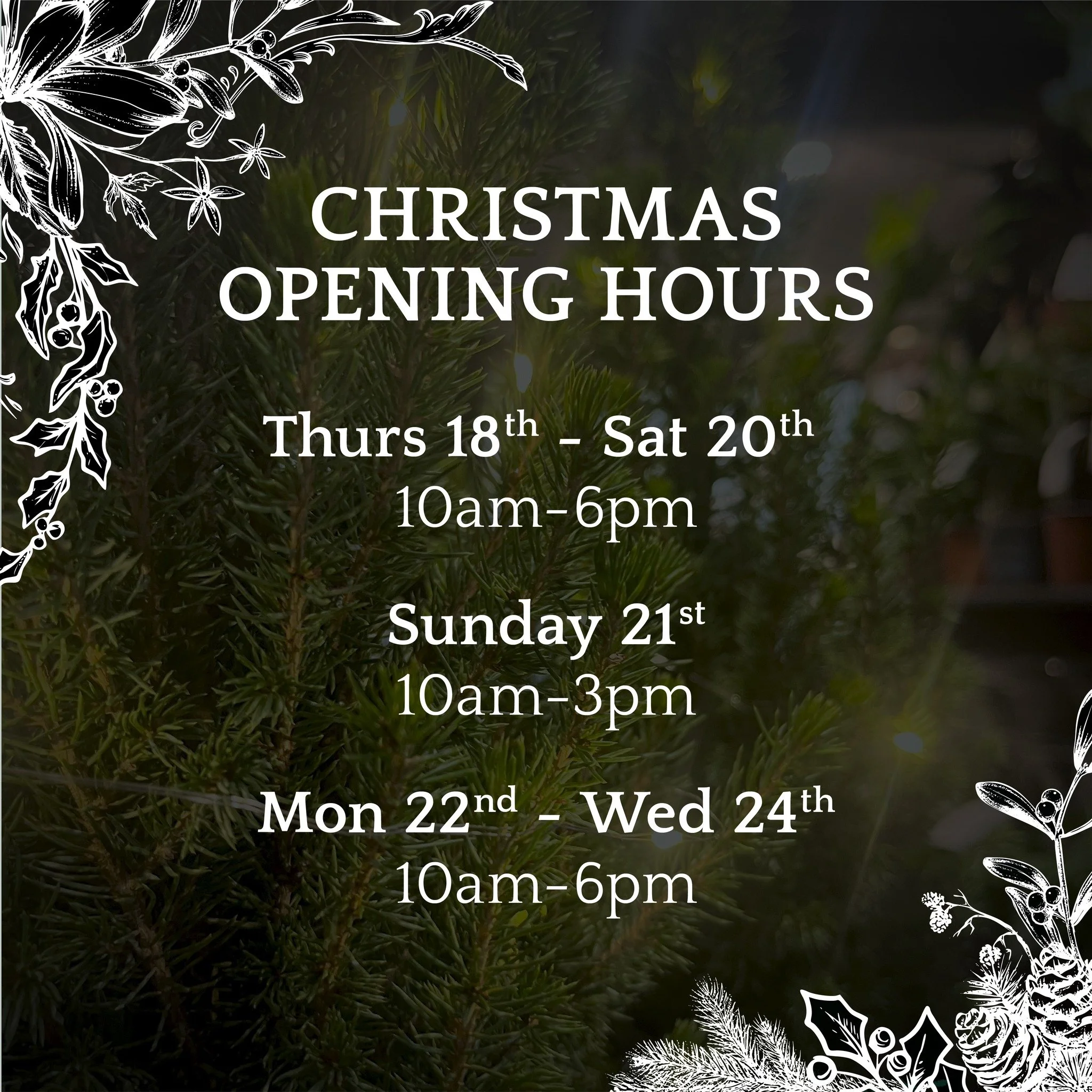 From 18th December, we&rsquo;re extending our hours until 6pm every day right through to Christmas Eve ✨

Perfect for after-work browsing, last-minute gifts, and a little calm amongst the festive chaos.
🕯🌿 Come wander.

---
#TheBlackThistle #LateNi