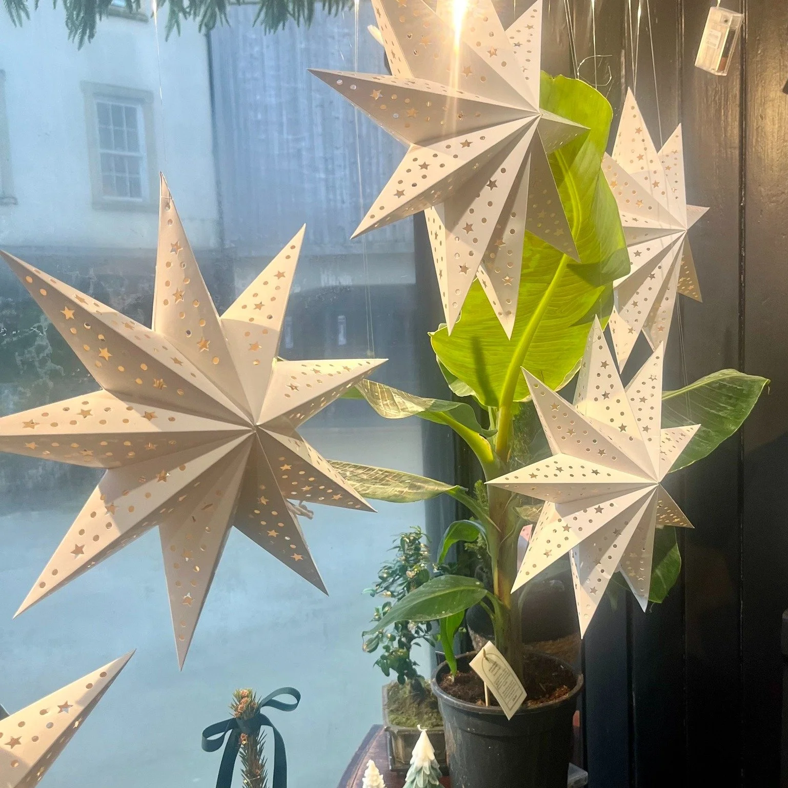 Christmas Eve ✨

Today is our final day at @10.market.place  before we close for January and prepare to move into our new home at 21 High Street.

Thank you for every visit, every conversation, and every bit of support this year. It has honestly mean