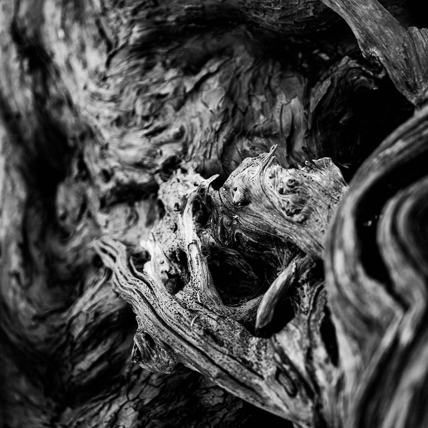 Meet the Artist 📸
@roscoelipin 

A Somerset-based multidisciplinary artist working at the intersection of fine art photography, portraiture and music.

Currently exhibiting 'A Liminal Dialogue' in The Rising Gallery, Roscoe&rsquo;s work inhabits the