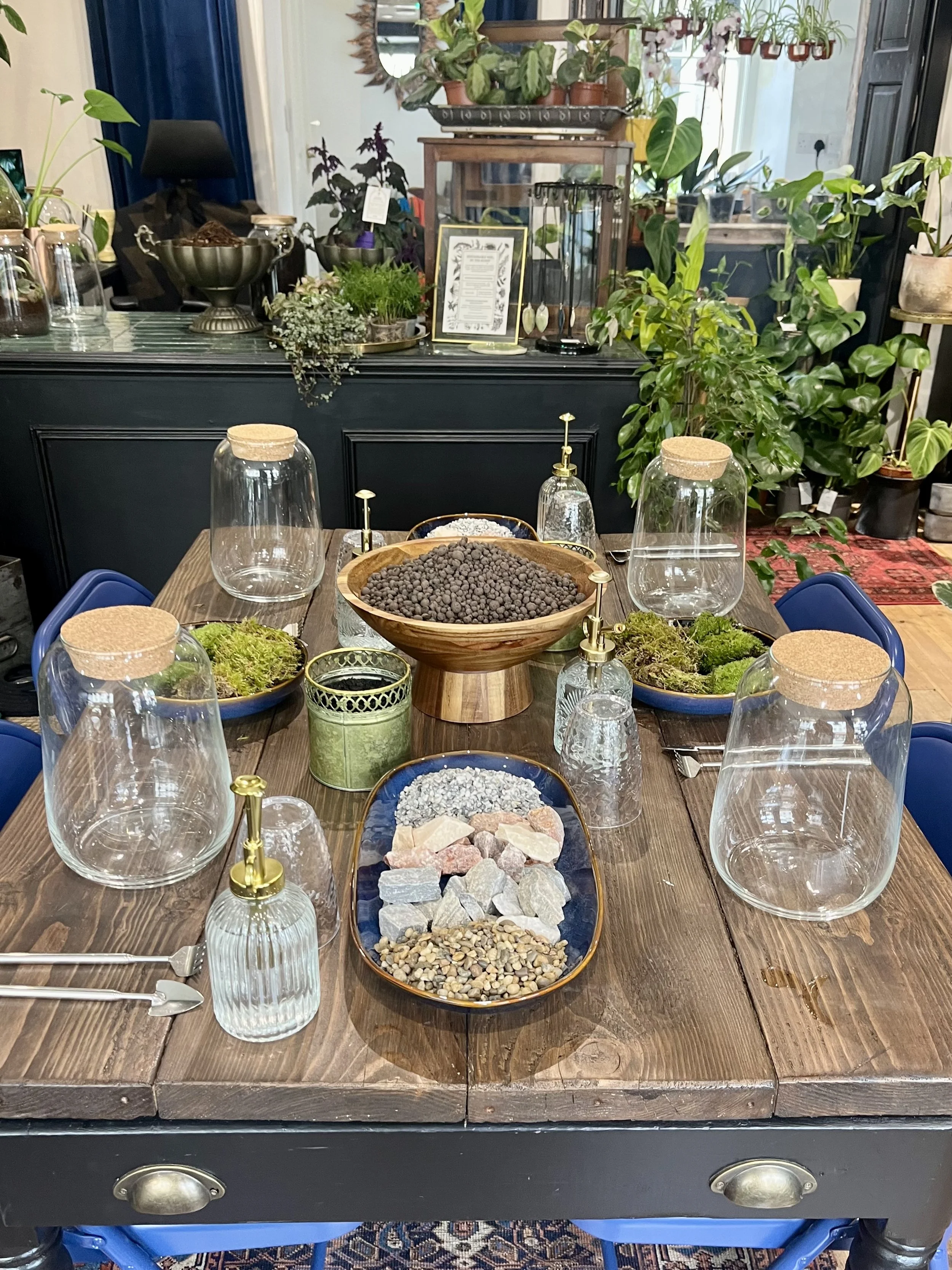 Meet the Artist: A talk with Alexandra Drysdale