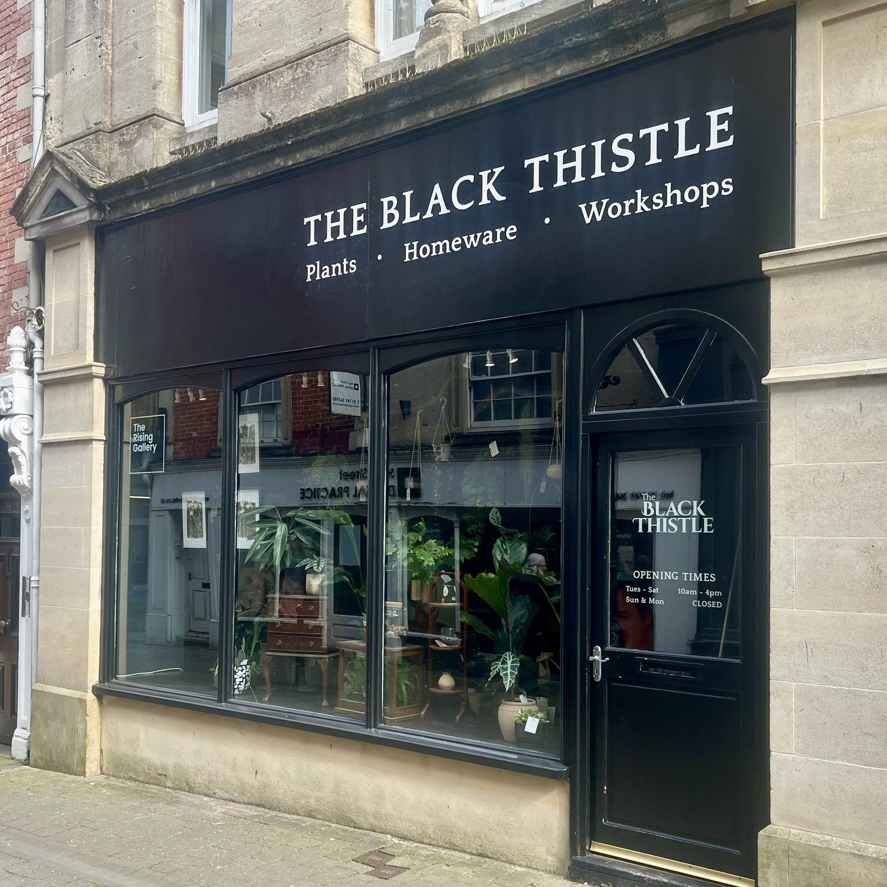 The storefront of The Black Thistle, a shop that sells plants, homeware, and offers workshops. The display window shows various potted plants and furniture inside. The shop's opening hours are Tuesday to Saturday from 10 am to 4 pm, closed on Sundays and Mondays.