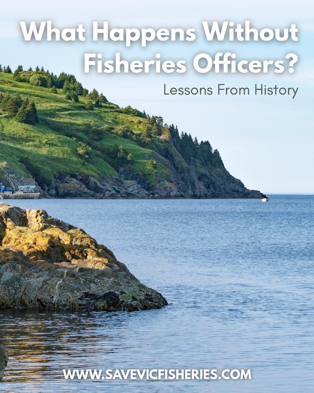 📕 PART 1: What Happens Without Fisheries Officers?
📚 Lessons from history, before we repeat them again.

Newfoundland once had the richest cod fishery on the planet.
By 1992, it was wiped out.

📉 Overfishing. Weak enforcement.
🔇 Science ignored.
