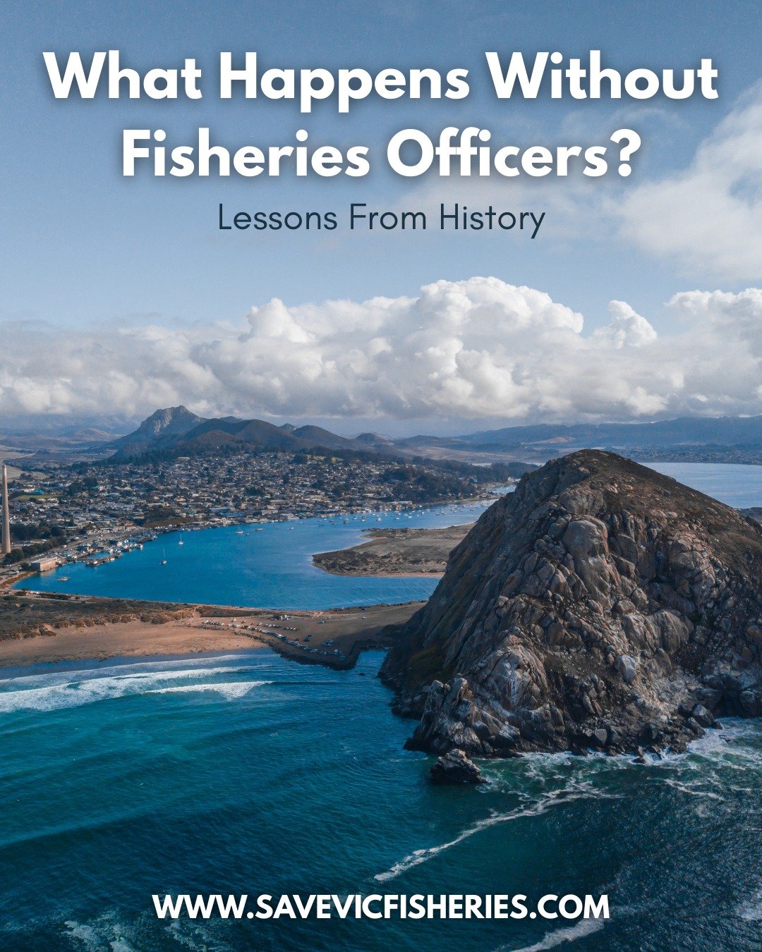 📗 PART 2: What Happens Without Fisheries Officers?
📚 Lessons from history, before we repeat them again.

The U.S. West Coast groundfish fishery was thriving, until it wasn&rsquo;t.

⚠️ In the early 2000s, overfishing, poor science, and weak enforce