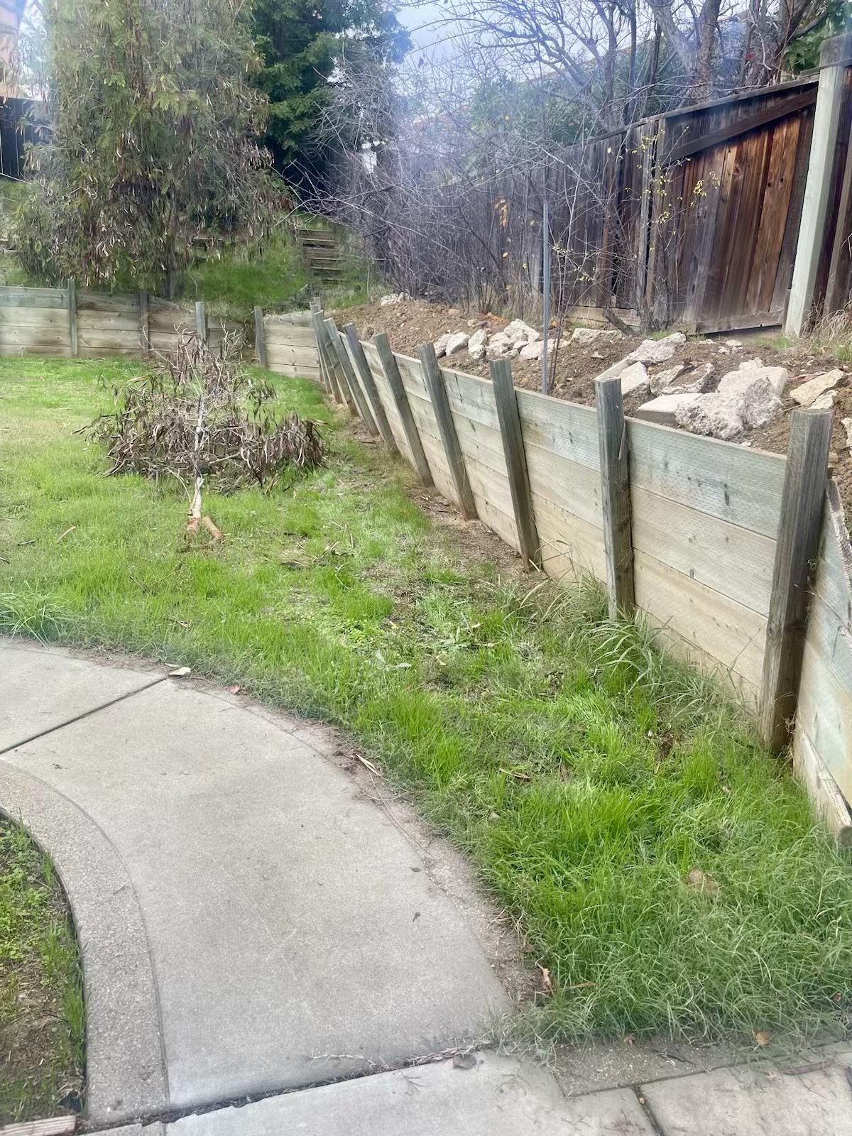 Fence (Before)