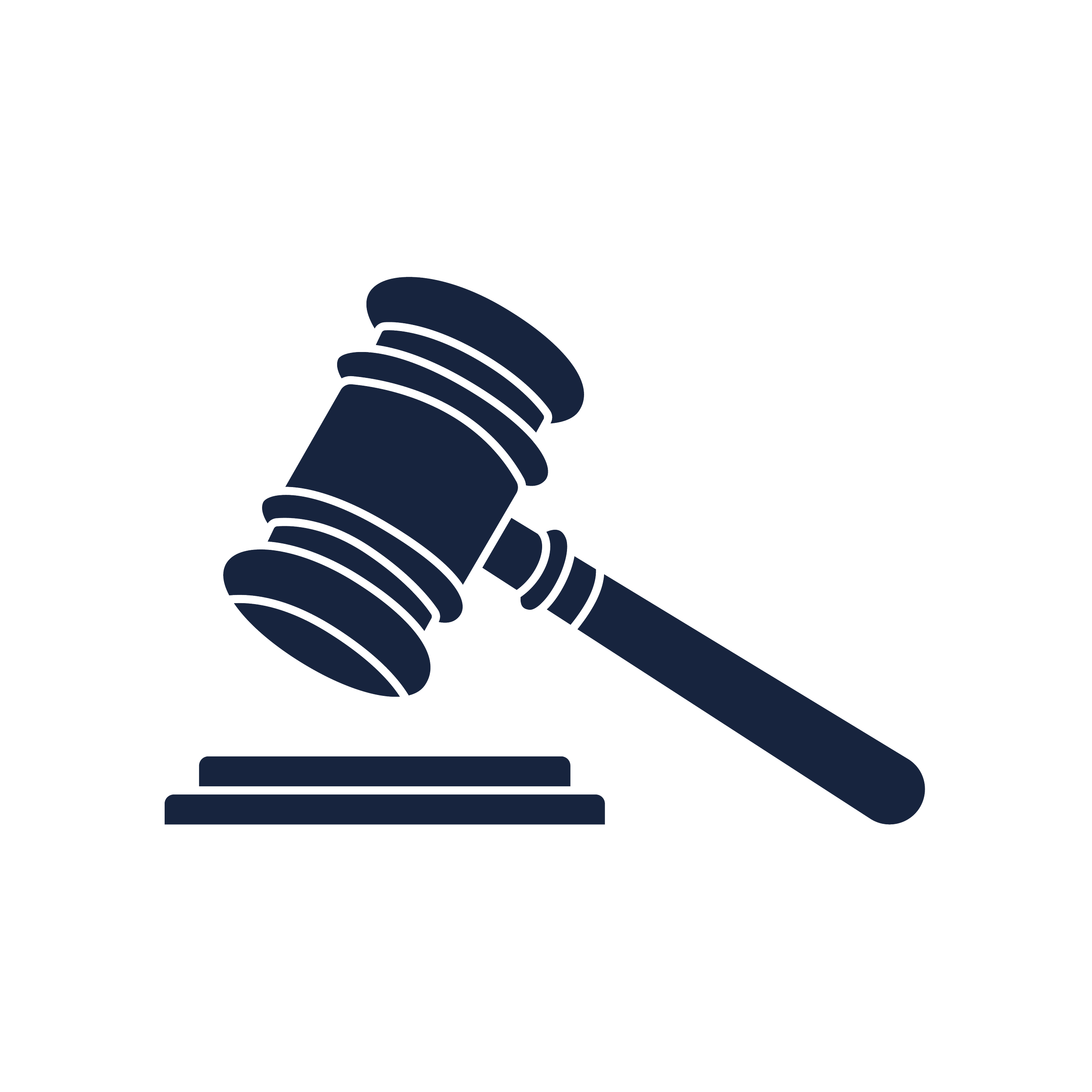 B&BLaw_ServicesIcons-navy-03.png