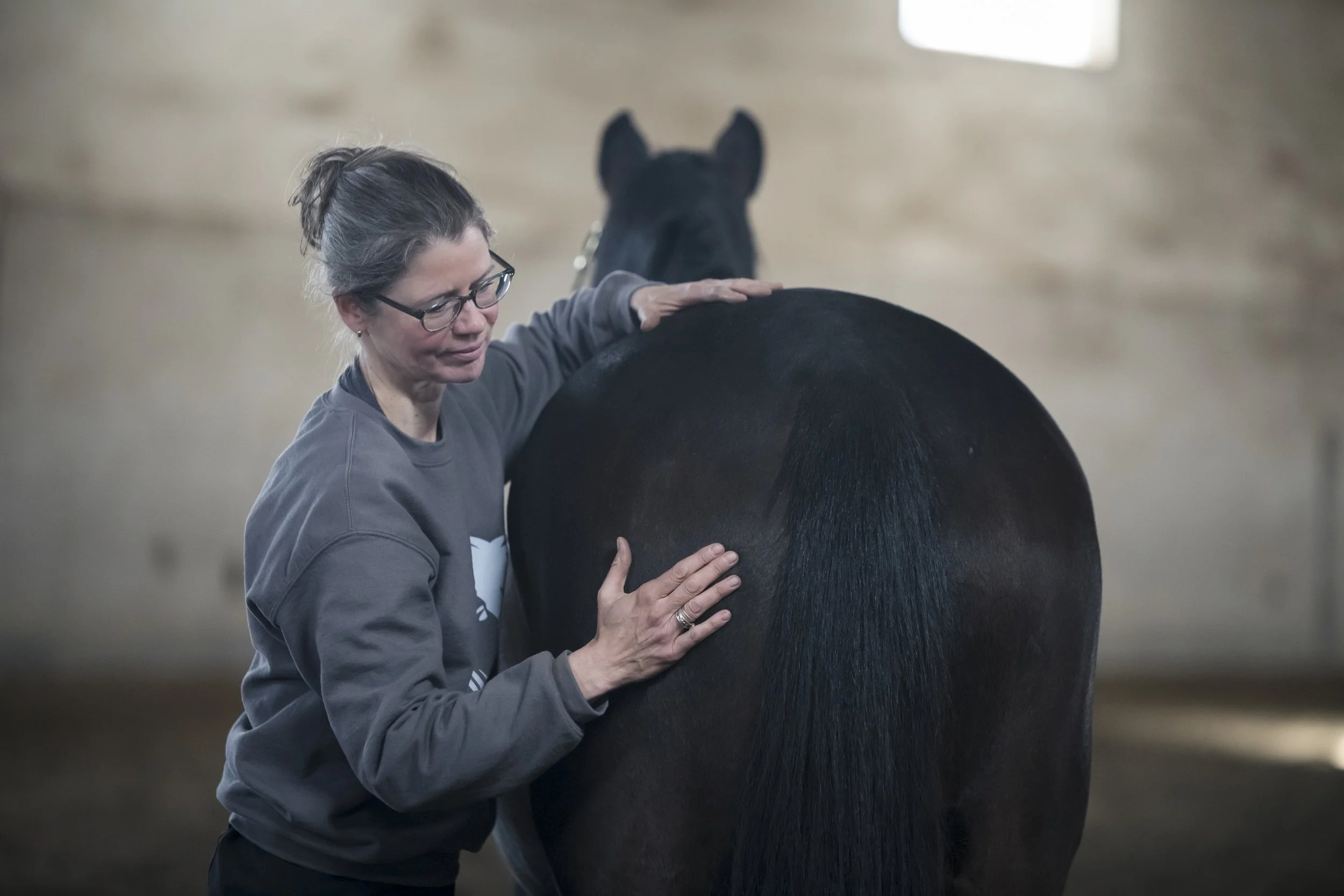 The Equine Bodyworker Catherin Gunkel Masterson Method Calgary Alberta